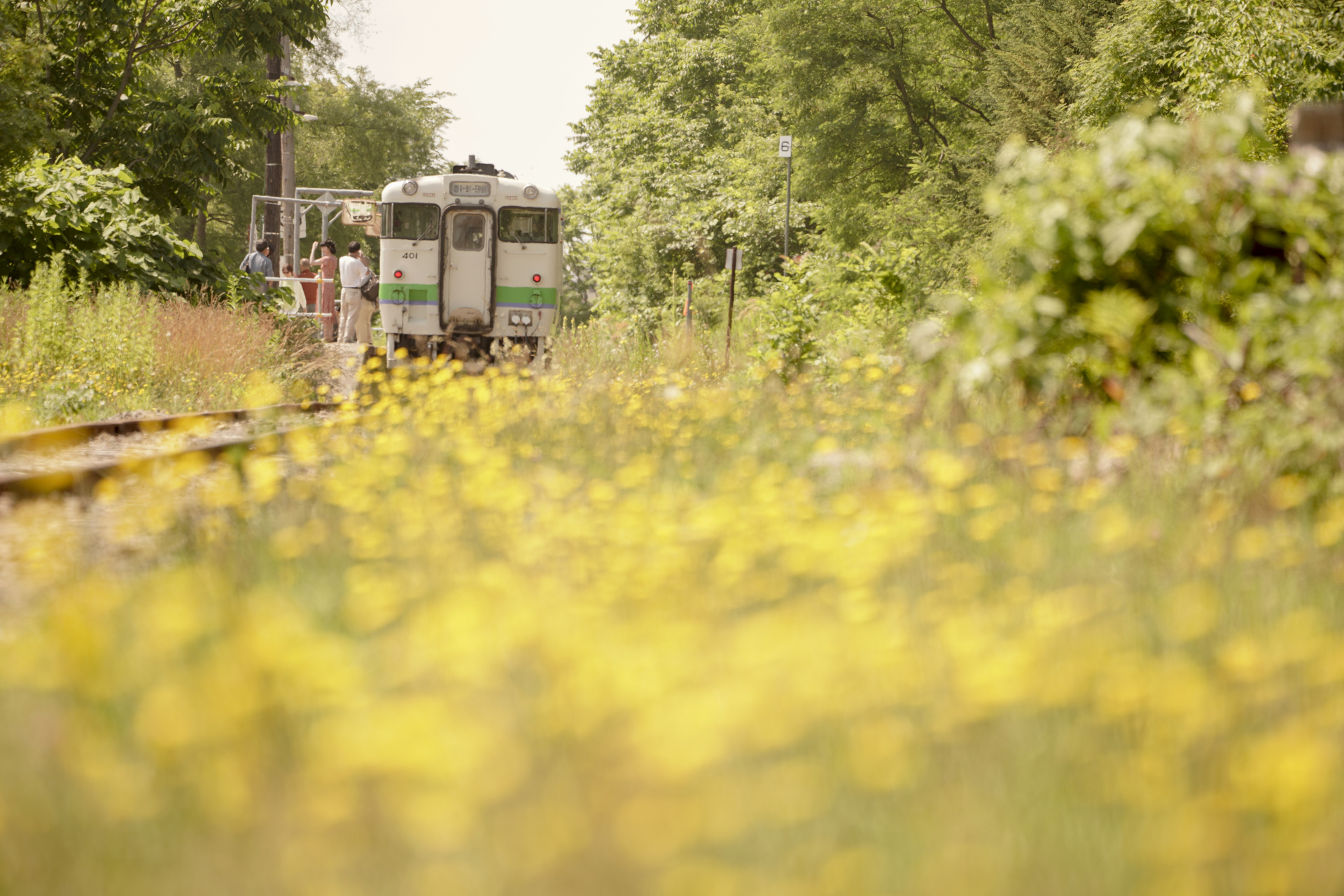 ソニーα7R IV　FE 100-400mm F4.5-5.6 GM OSS（274mm）　絞り優先オート（F5.6、1/320秒）　ISO 200　WB:日陰