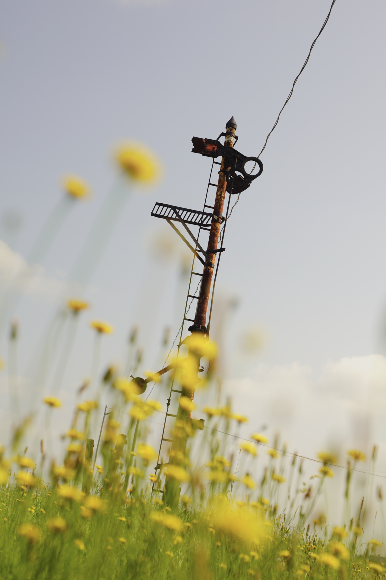 ソニーα7R IV　FE 24-70mm F2.8 GM（56mm）　絞り優先オート（F4、1/400秒）　ISO 100　WB:日陰