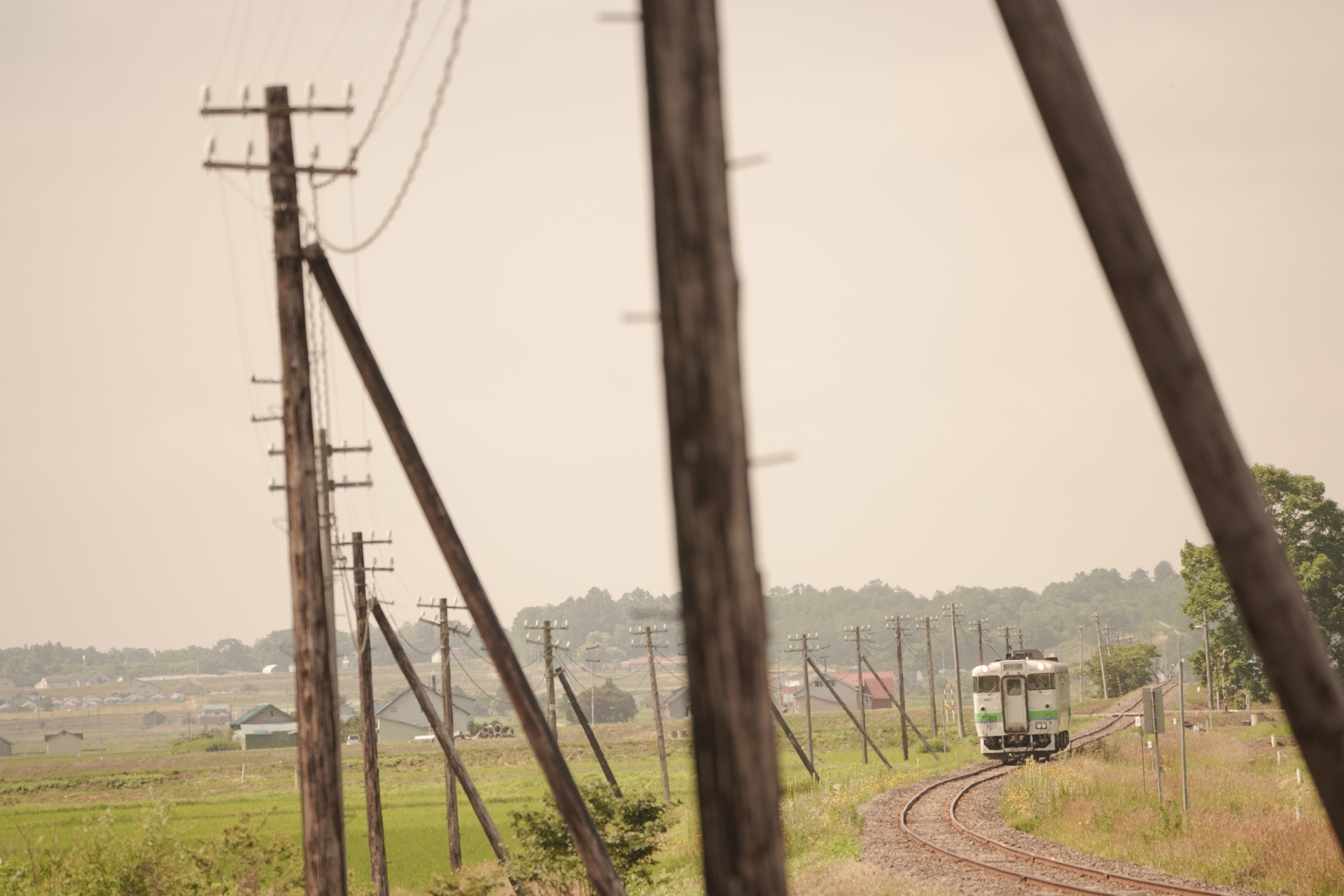 ソニーα7R IV　FE 100-400mm F4.5-5.6 GM OSS（256mm）　絞り優先オート（F5.6、1/400秒）　ISO 100　WB:日陰