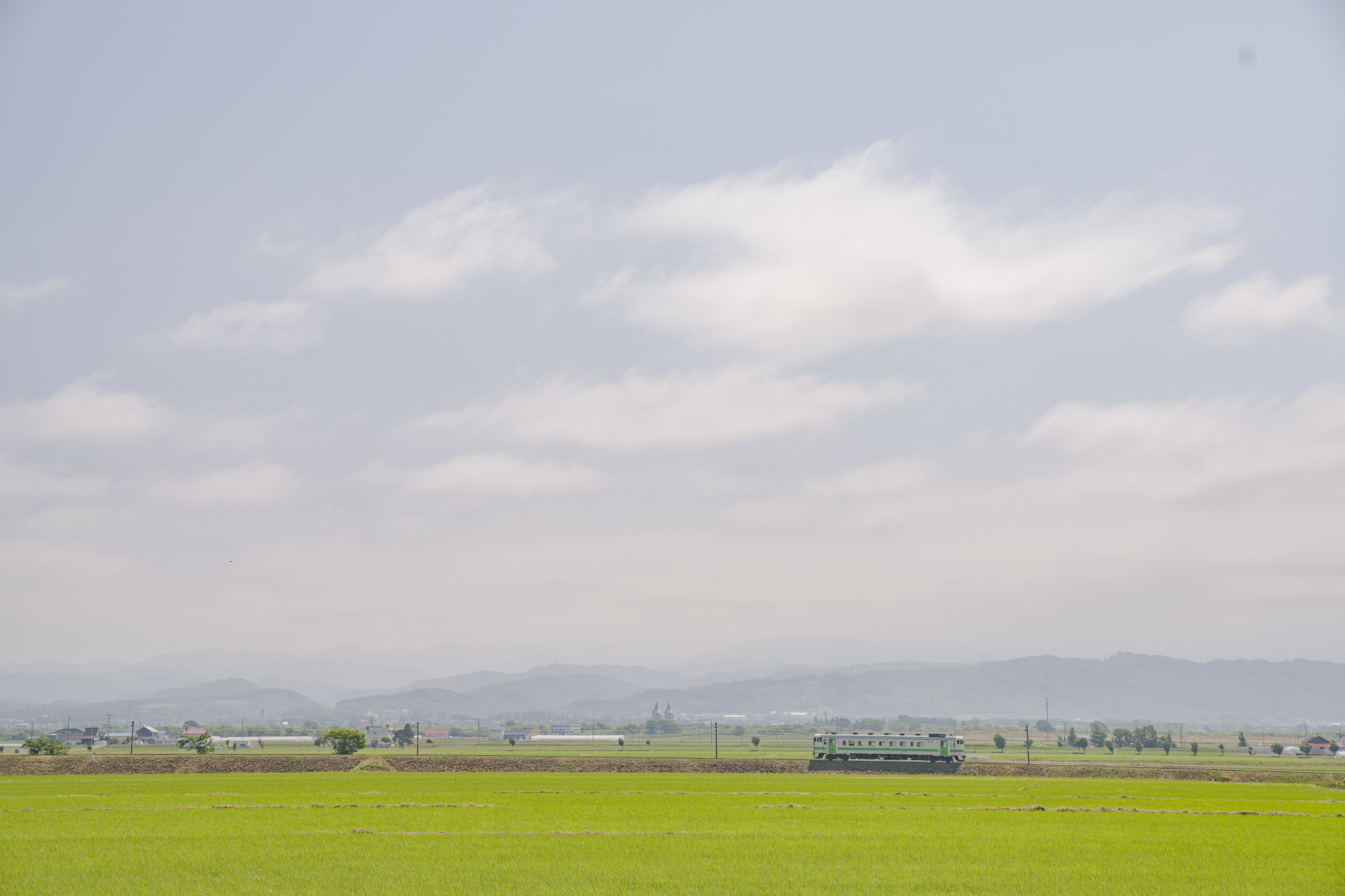 ソニーα7R IV　FE 24-70mm F2.8 GM（70mm）　絞り優先オート（F5.6、1/400秒）　ISO 200　WB:日陰