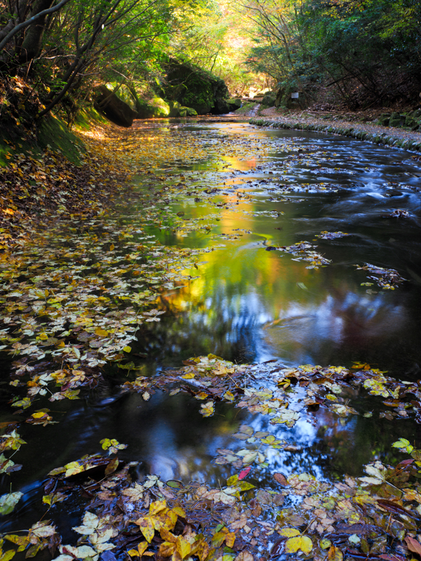 大分の岳切渓谷はとても小ぶりで静かな渓谷だ。見る人によっては地味と感じる場所だが、一枚岩を流れる静かな水にそっと落ち行く落ち葉は様々な造形を作り出し、写欲をわかせてくれる。訪れる人も少なくじっくりと自分の写真を追求できる場所だ。特に落葉の時期が素晴らしい（撮影：清家道子）。<br><span class="fnt-85">OLYMPUS OM-D E-M1 Mark II / M.ZUIKO DIGITAL ED 17mm F1.2 PRO / 17mm（34mm相当） / 絞り優先AE（F8、0.4秒、-1.0EV） / ISO 200 / WB：太陽光 / ハイレゾショット</span>