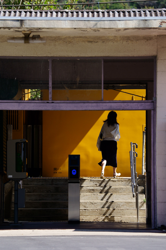 撮影：山下大祐<br><span class="fnt-90">α7 III / FE 200-600mm F5.6-6.3 G OSS / 234mm / マニュアル露出（1/1,000秒・F6.3） / ISO 400</span>