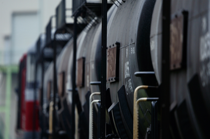 撮影：山下大祐<br><span class="fnt-90">α7 III / FE 200-600mm F5.6-6.3 G OSS / 600mm / マニュアル露出（1/500秒・F6.3） / ISO 320</span>