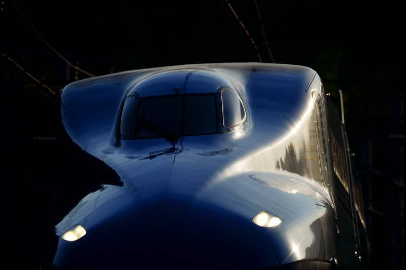 撮影：山下大祐<br><span class="fnt-90">α7 III / FE 200-600mm F5.6-6.3 G OSS / 600mm / マニュアル露出（1/2,000秒・F8） / ISO 200</span>