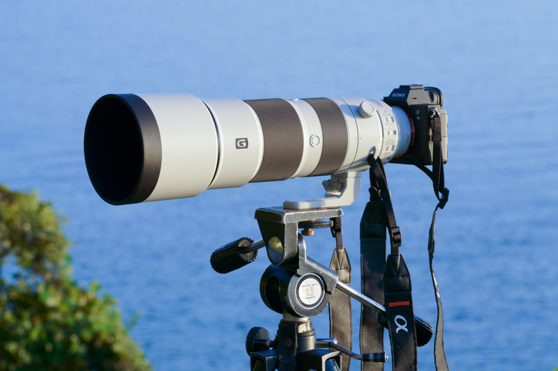 撮影：山下大祐<br><span class="fnt-90">α7 III / FE 200-600mm F5.6-6.3 G OSS / 600mm / マニュアル露出（1/2,000秒・F7.1） / ISO 250</span>