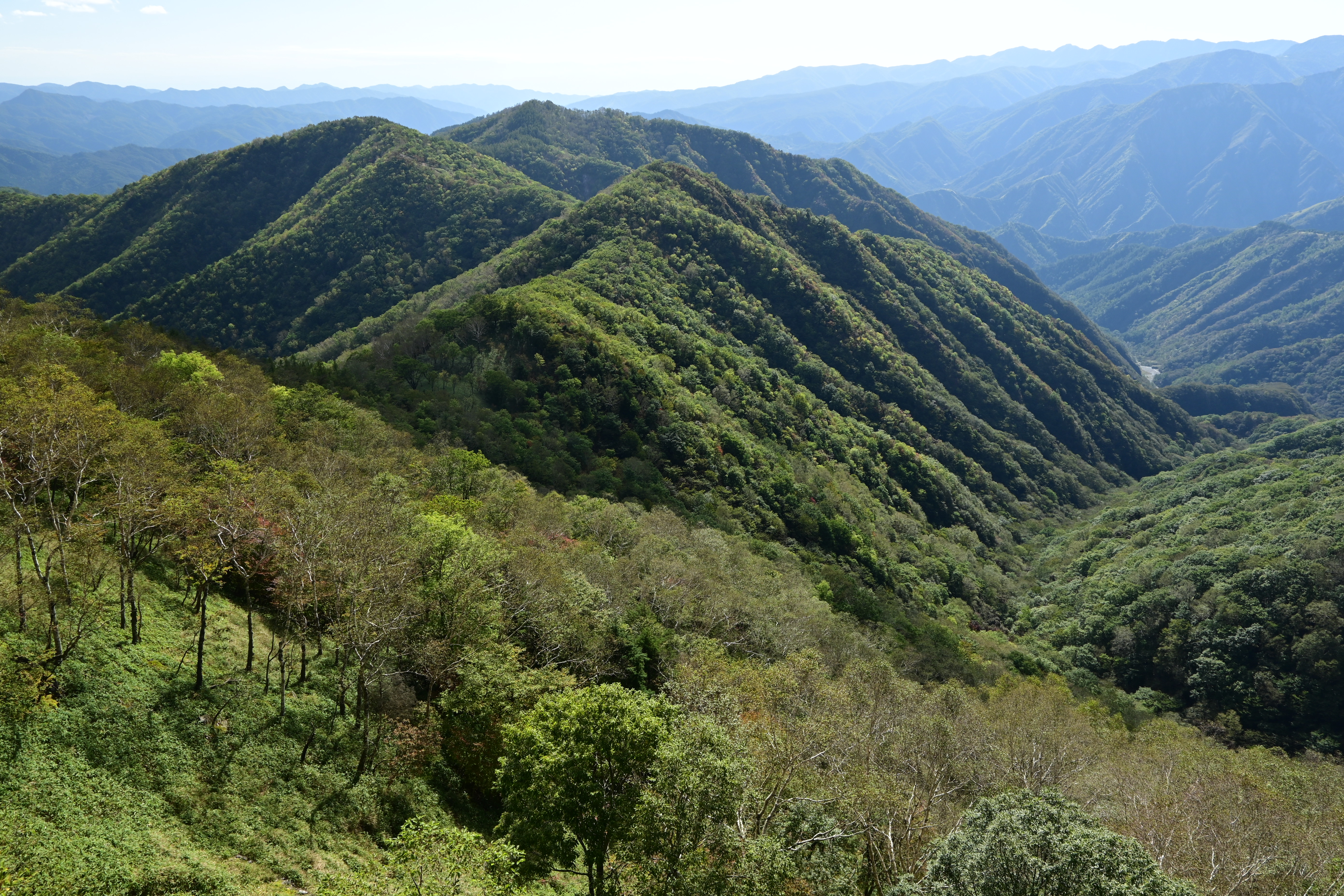 Z 50・NIKKOR Z DX 16-50mm f/3.5-6.3 VR・F8・1/60秒・ISO 100