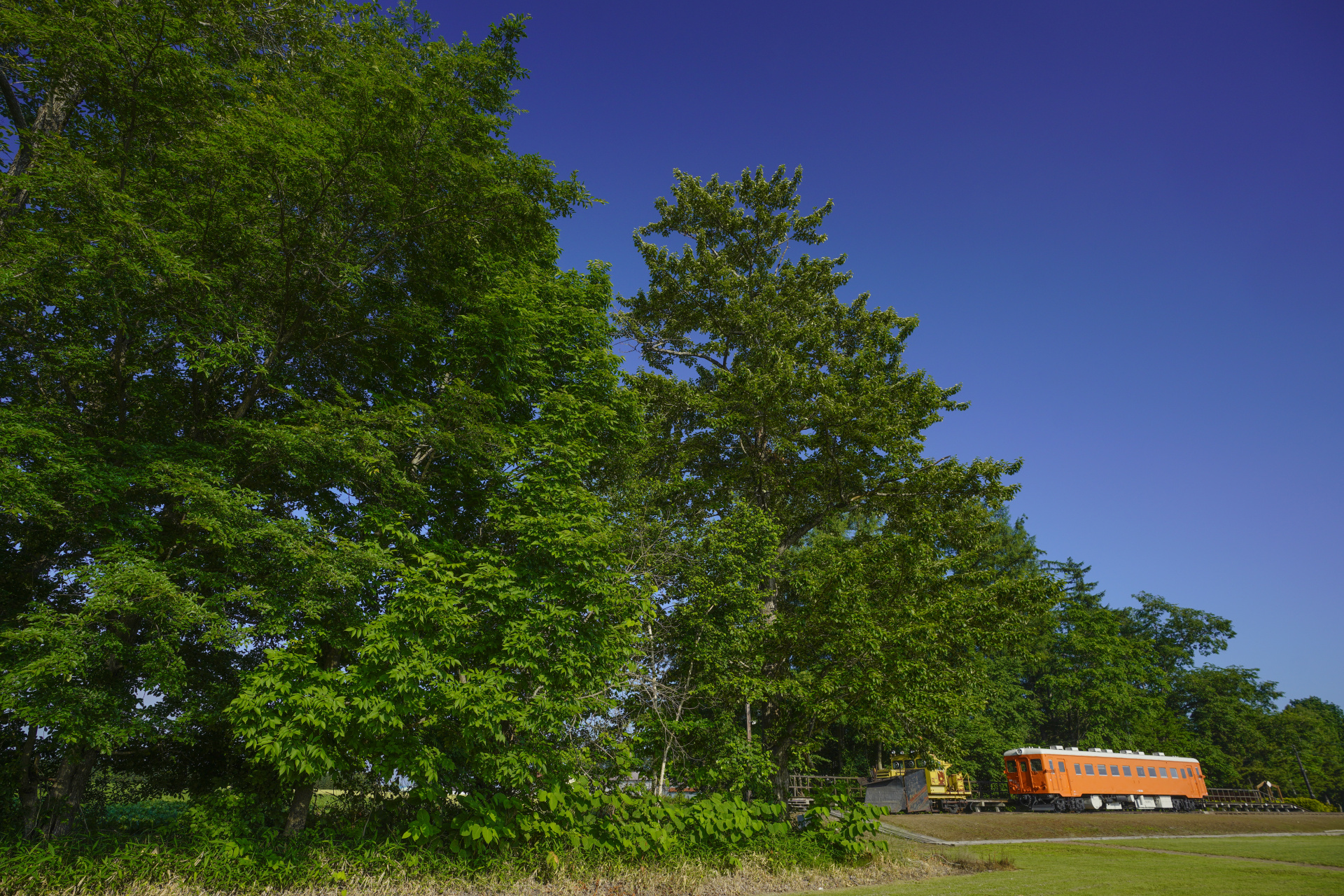 ソニーα7R IV　FE 16-35mm F2.8 GM（18mm）　露出マニュアル（F5.6、1/500秒）　ISO200　WB:太陽光　風景