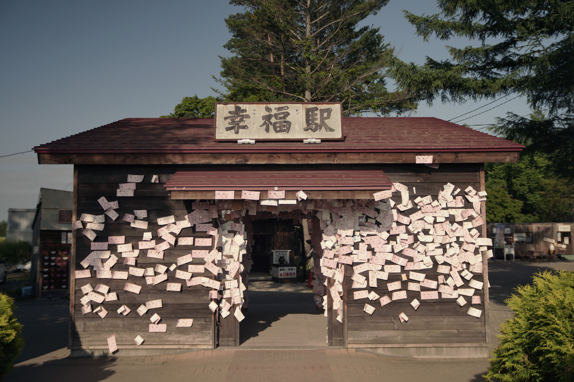 ソニーα7R IV　FE 24-70mm F2.8 GM（34mm）　露出マニュアル（F2.8、1/3200秒）　ISO200　WB:日陰　ニュートラル