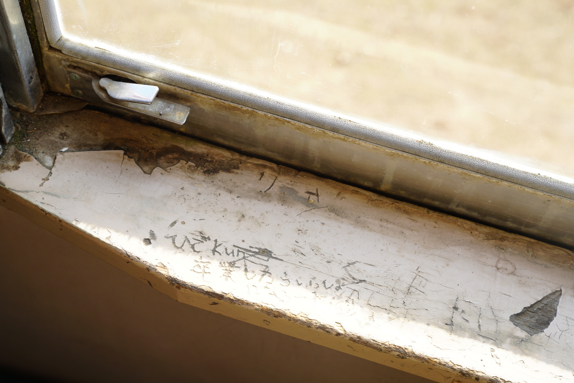 ソニーα7R IV　FE 24-70mm F2.8 GM（54mm）　露出マニュアル（F5.6、1/60秒）　ISO200　WB:太陽光　風景