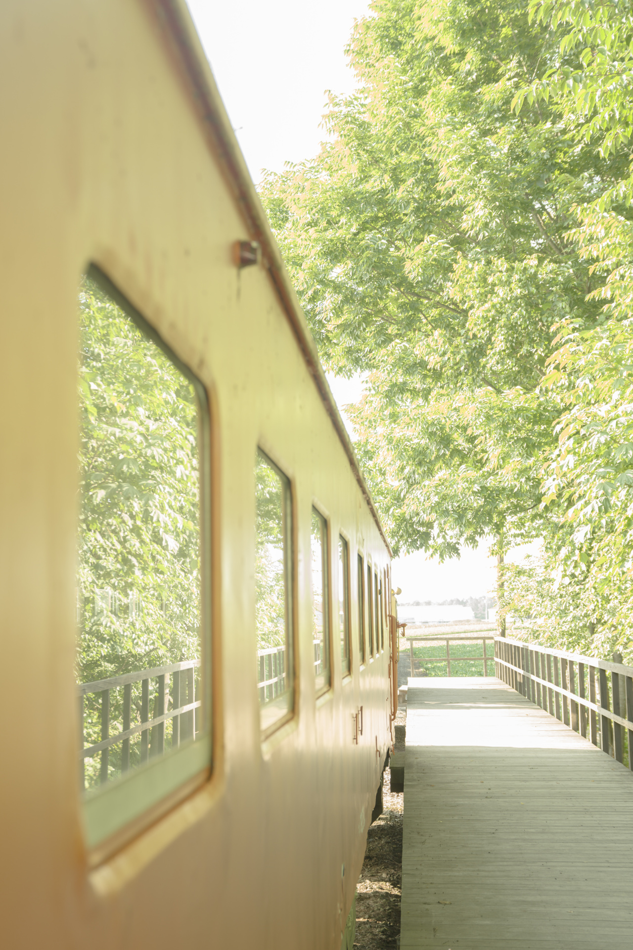 ソニーα7R IV　FE 24-70mm F2.8 GM（44mm）　露出マニュアル（F3.5、1/30秒）　ISO200　WB:太陽光　ニュートラル