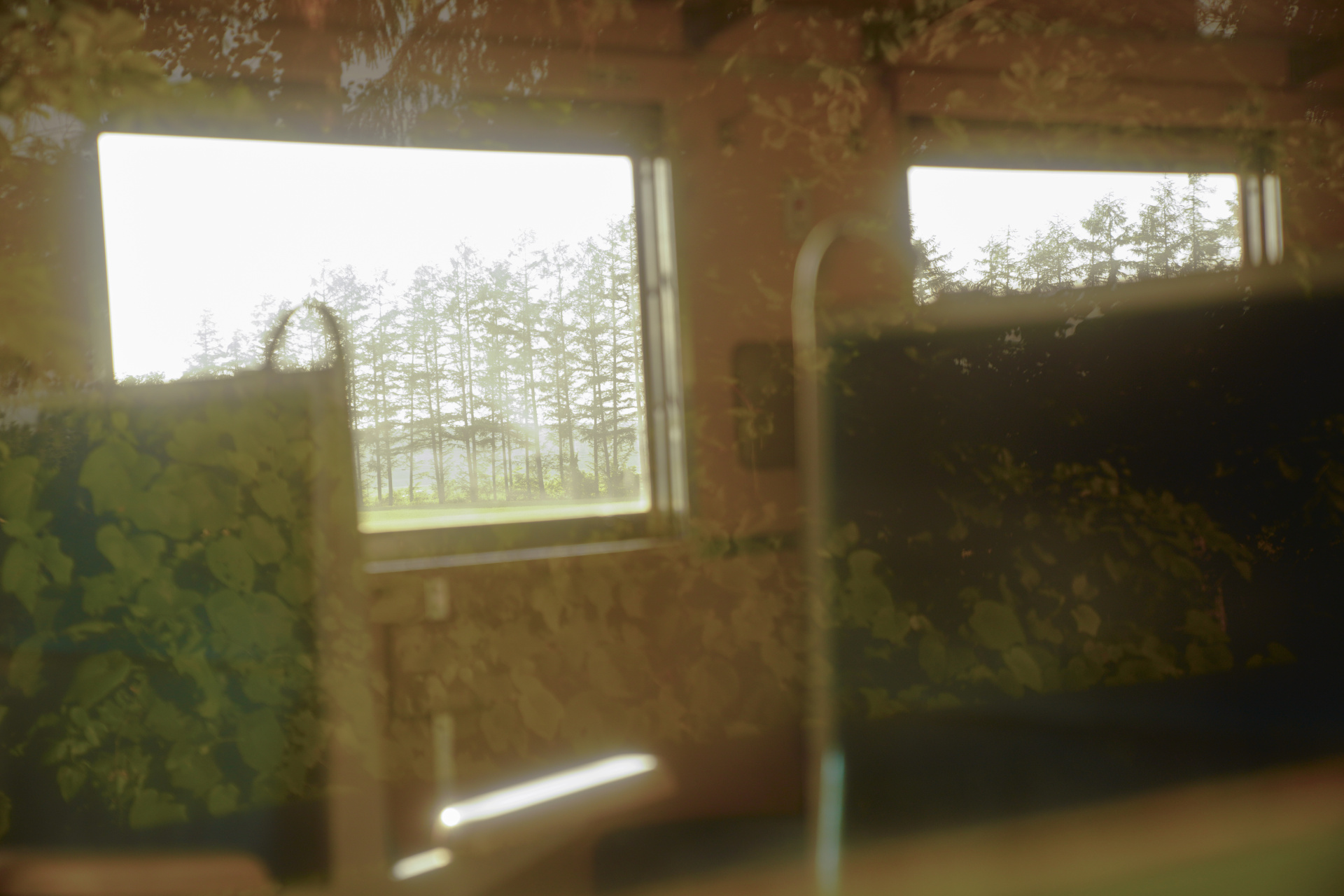 ソニーα7R IV　FE 24-70mm F2.8 GM（70mm）　露出マニュアル（F3.5、1/200秒）　ISO200　WB:日陰　風景