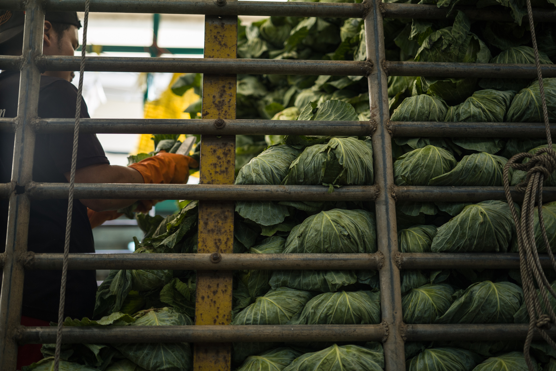 市内に点在する市場にはそれぞれ個性があって、ここでは野菜を扱っている。野菜も人も「むき出し」で、東京の整然としたようすに慣れた目には新鮮だ。ライカM10-Pを手にする撮影者の姿は、相手にとって取材にも観光にも見えるだろう。<br>LEICA M10-P　APO-SUMMICRON-M F2/50mm ASPH.　ISO 200　F2　1/250秒