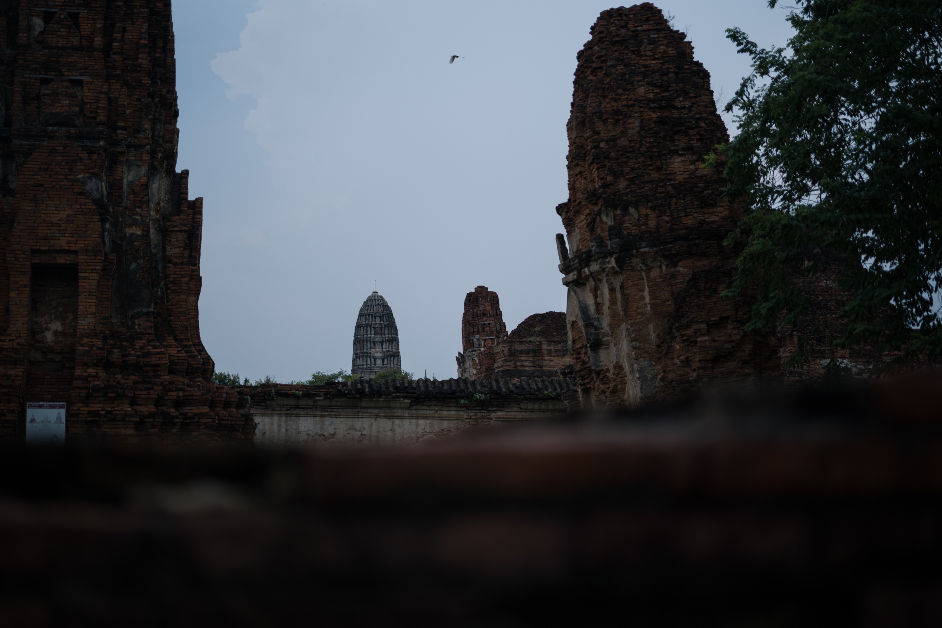 バンコクから乗り合いミニバンで古都アユタヤへ。遺跡写真は似たようになりがちなので、昨年訪れたアンコールワットから、もっと違う撮り方はできないか、私的研究が続いている。今回はアポ・ズミクロンのボケを使った。<br>LEICA M10-P　APO-SUMMICRON-M F2/50mm ASPH.　ISO 200　F2　1/4000秒