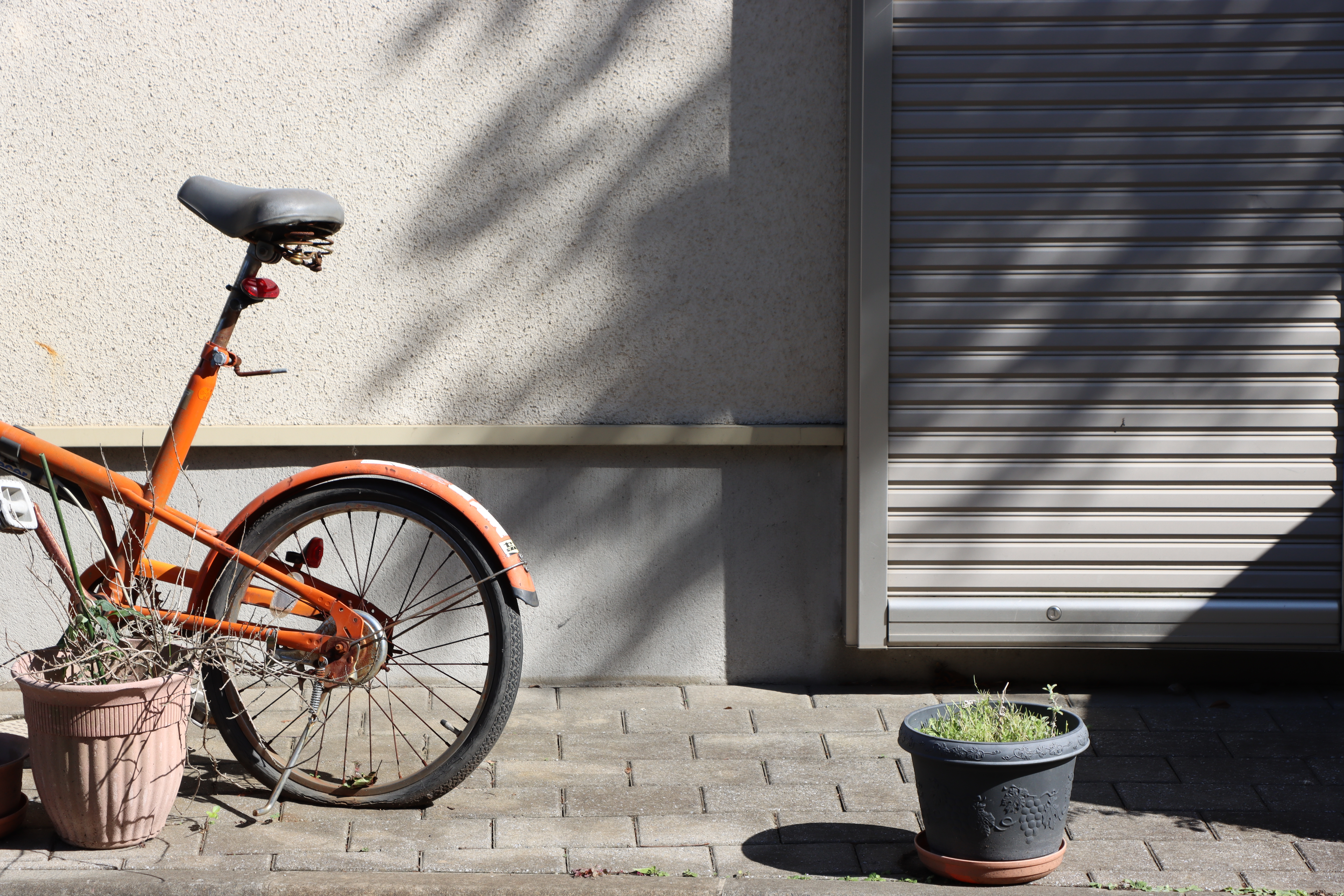 EOS 90D　EF-S18-135mm F3.5-5.6 IS USM（74mm）　ISO 100　F8　1/200秒