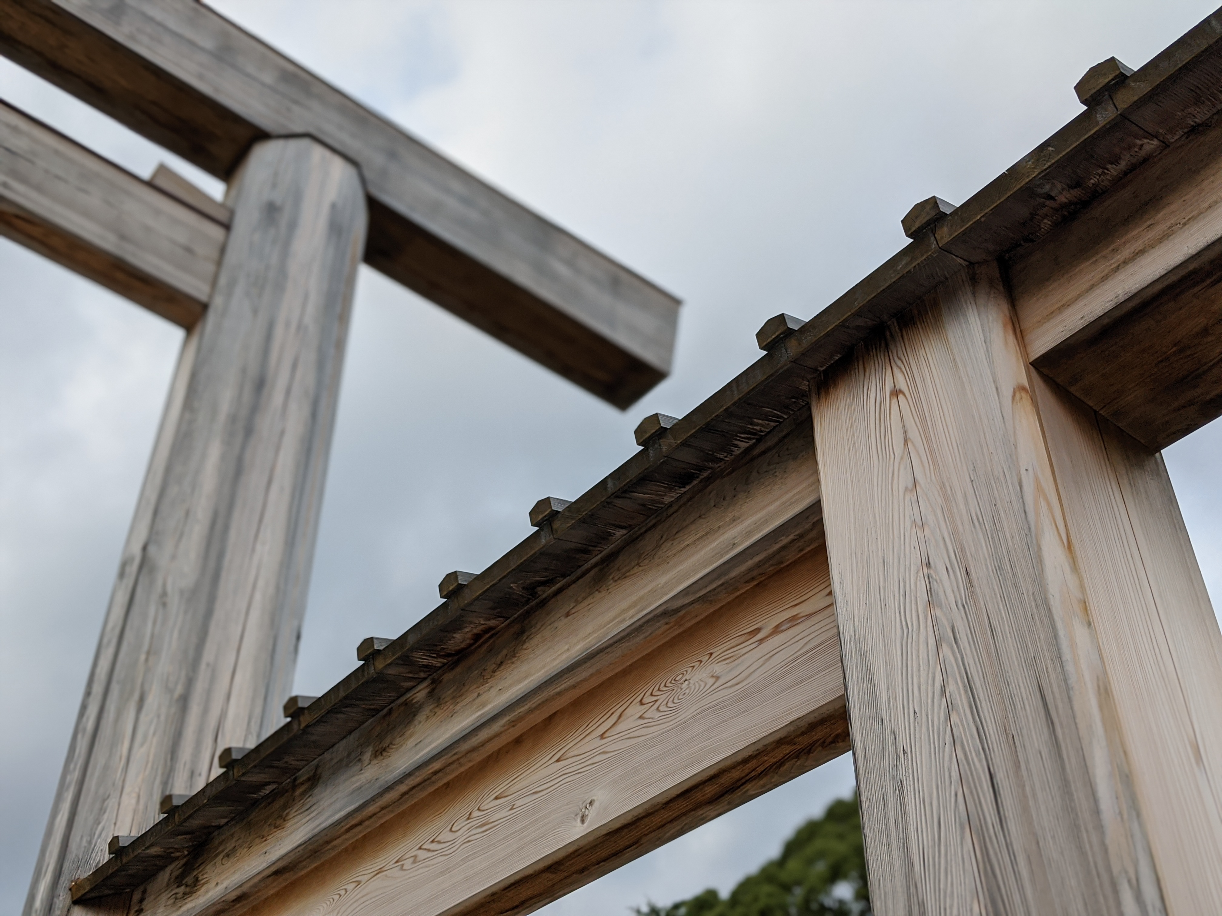 Pixel 4 / 4.38mm（27mm相当） / 1/2,500秒 / F1.7 / ISO 92