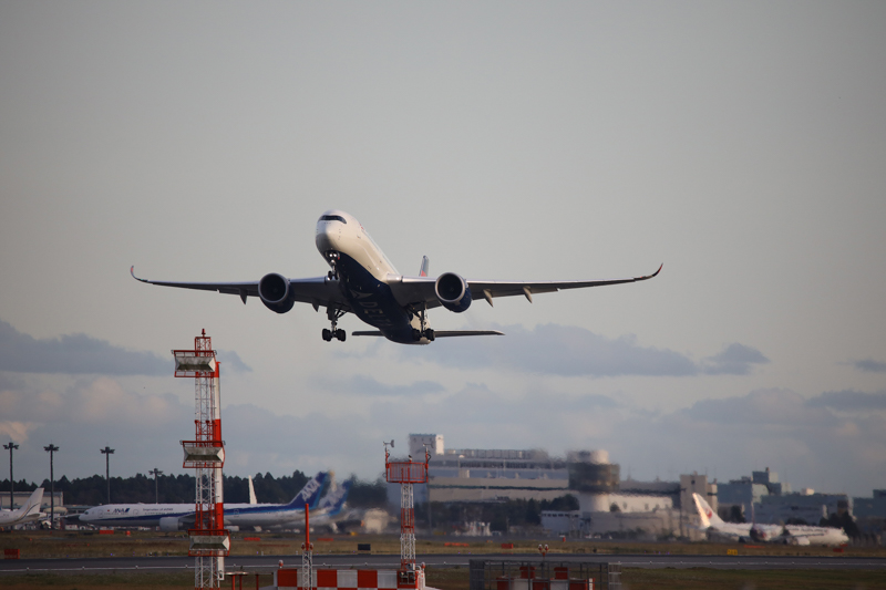 撮影：曽根原昇<br>EOS R / SP 150-600mm F/5-6.3 Di VC USD G2 / 600mm / シャッター速度優先AE（1/1,600秒・F6.3・+0.3EV） / ISO 800