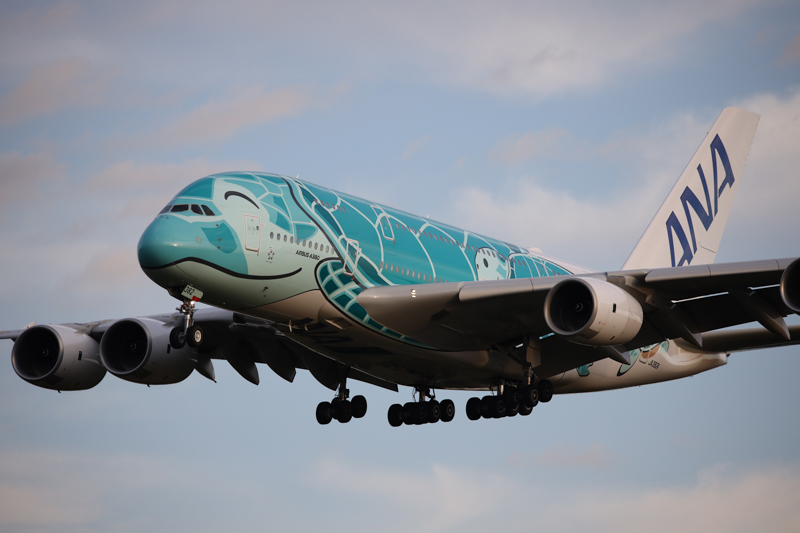 撮影：曽根原昇<br>EOS R / SP 150-600mm F/5-6.3 Di VC USD G2 / 350mm / シャッター速度優先AE（1/1,600秒・F5.6・+0.3EV） / ISO 800