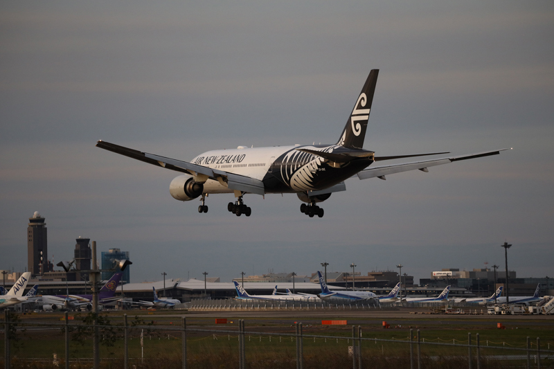 撮影：曽根原昇<br>EOS R / SP 150-600mm F/5-6.3 Di VC USD G2 / 250mm / シャッター速度優先AE（1/1,600秒・F5.6・±0.0EV） / ISO 1600