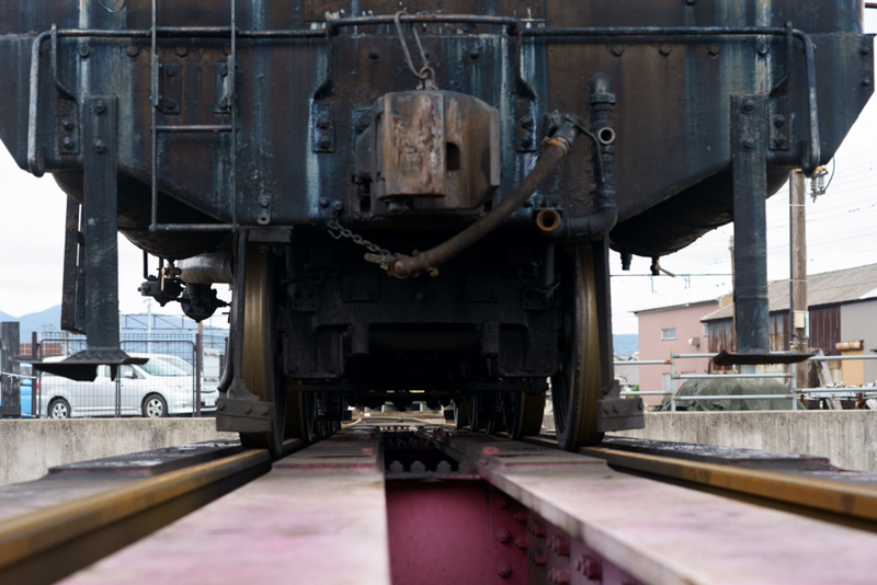 （撮影：のっちさん）