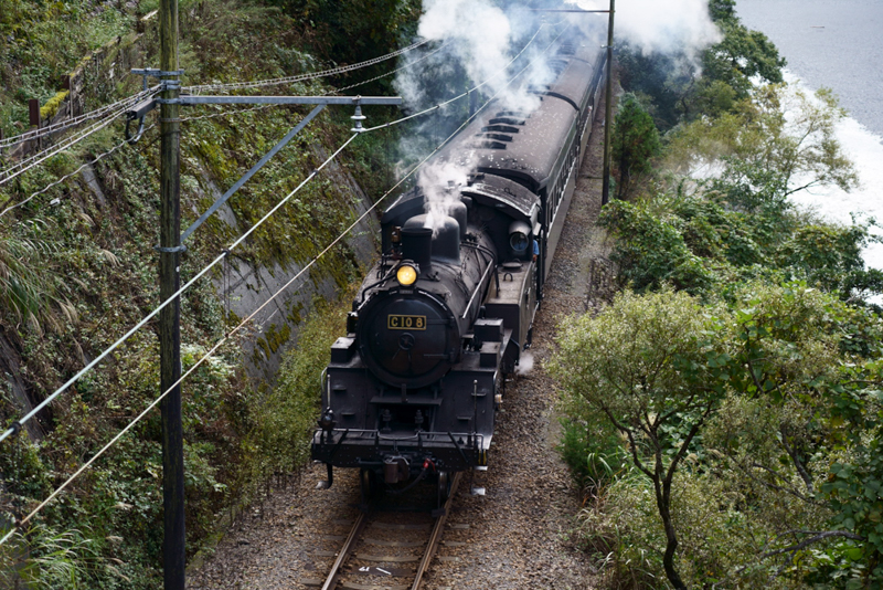 （撮影：のっちさん）