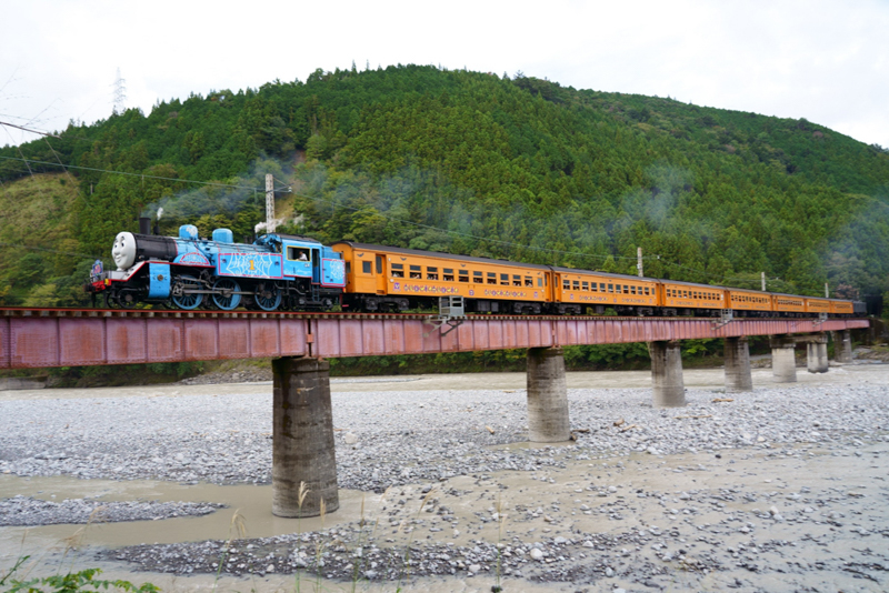 （撮影：のっちさん）