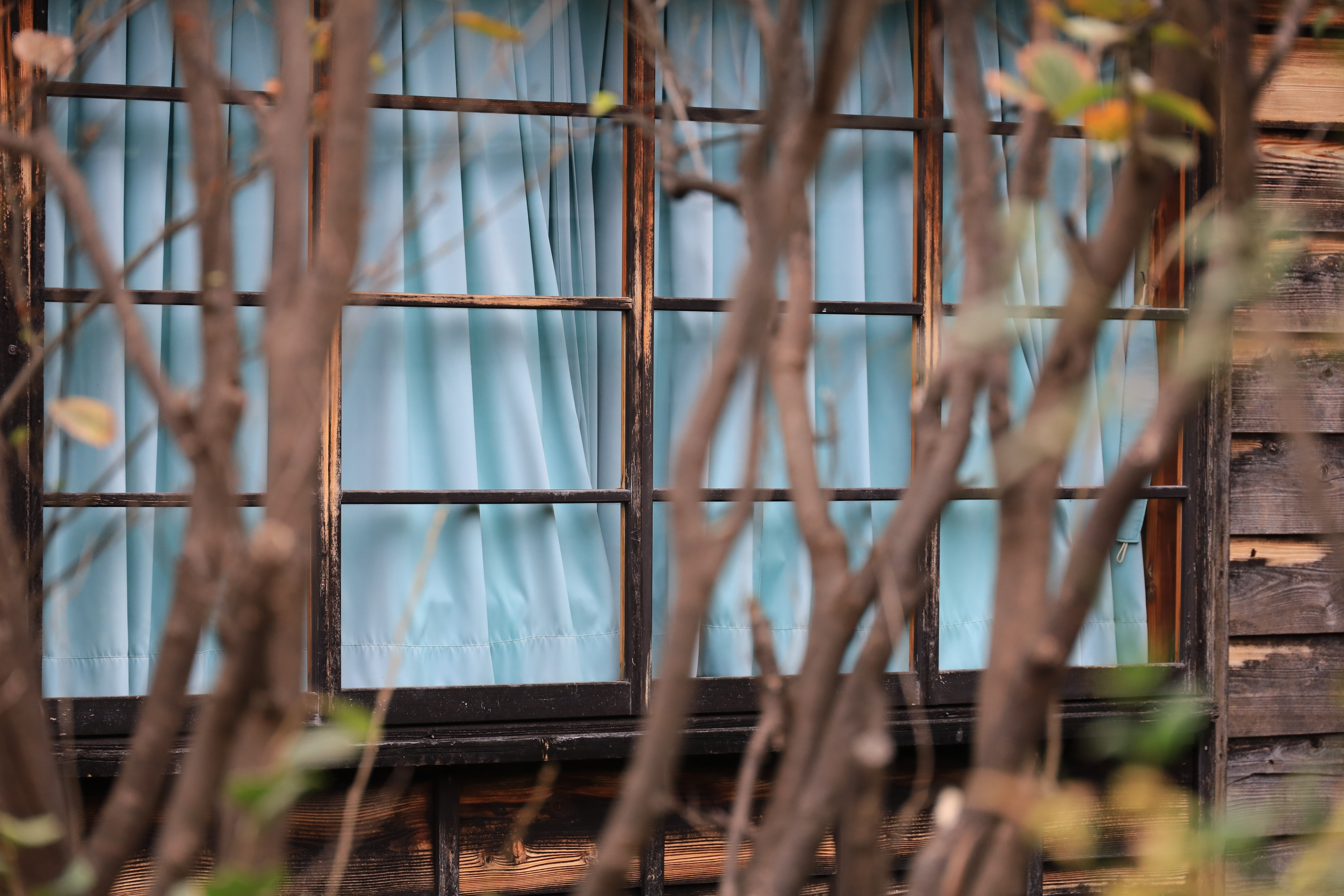 キヤノンEOS RP＋RF24-240mm F4-6.3 IS USM / 150mm / 絞り優先AE（F6.7、1/180秒、±0EV） / ISO 800