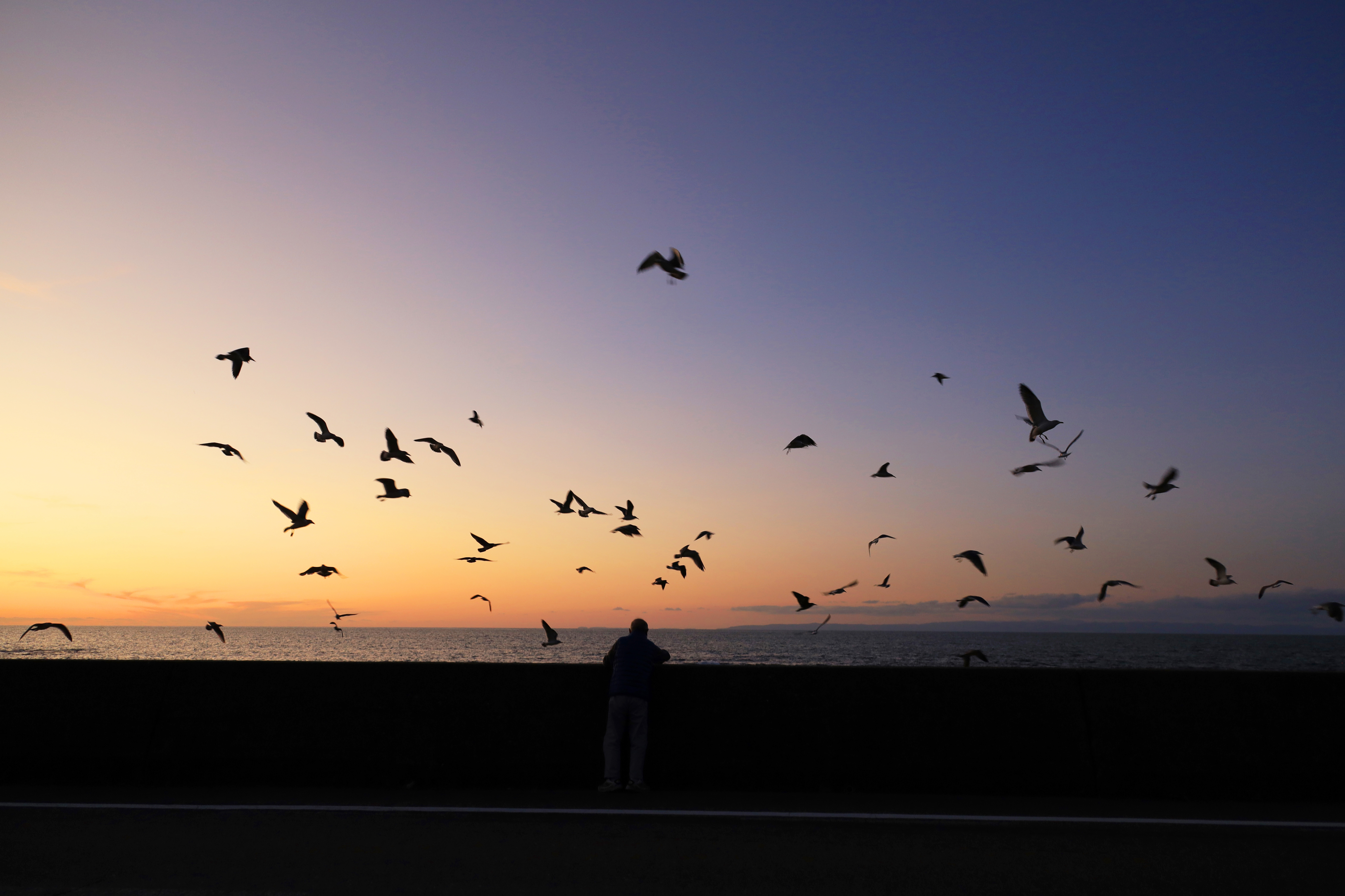 キヤノンEOS RP＋RF24-240mm F4-6.3 IS USM / 24mm / 絞り優先AE（F6.7、1/90秒、±0EV） / ISO 400