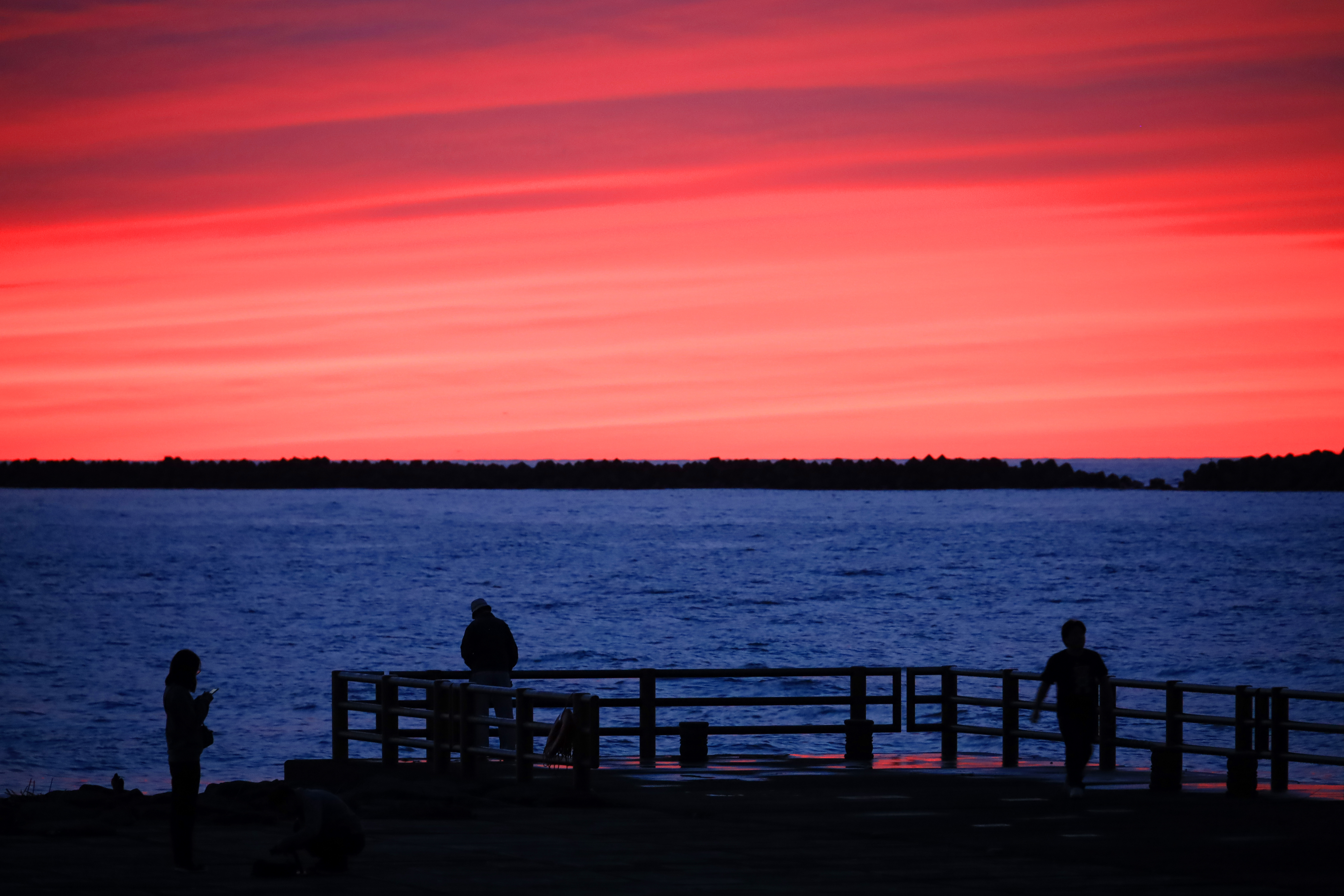 キヤノンEOS RP＋RF24-240mm F4-6.3 IS USM / 240mm / 絞り優先AE（F6.7、1/10秒、±0EV） / ISO 3200