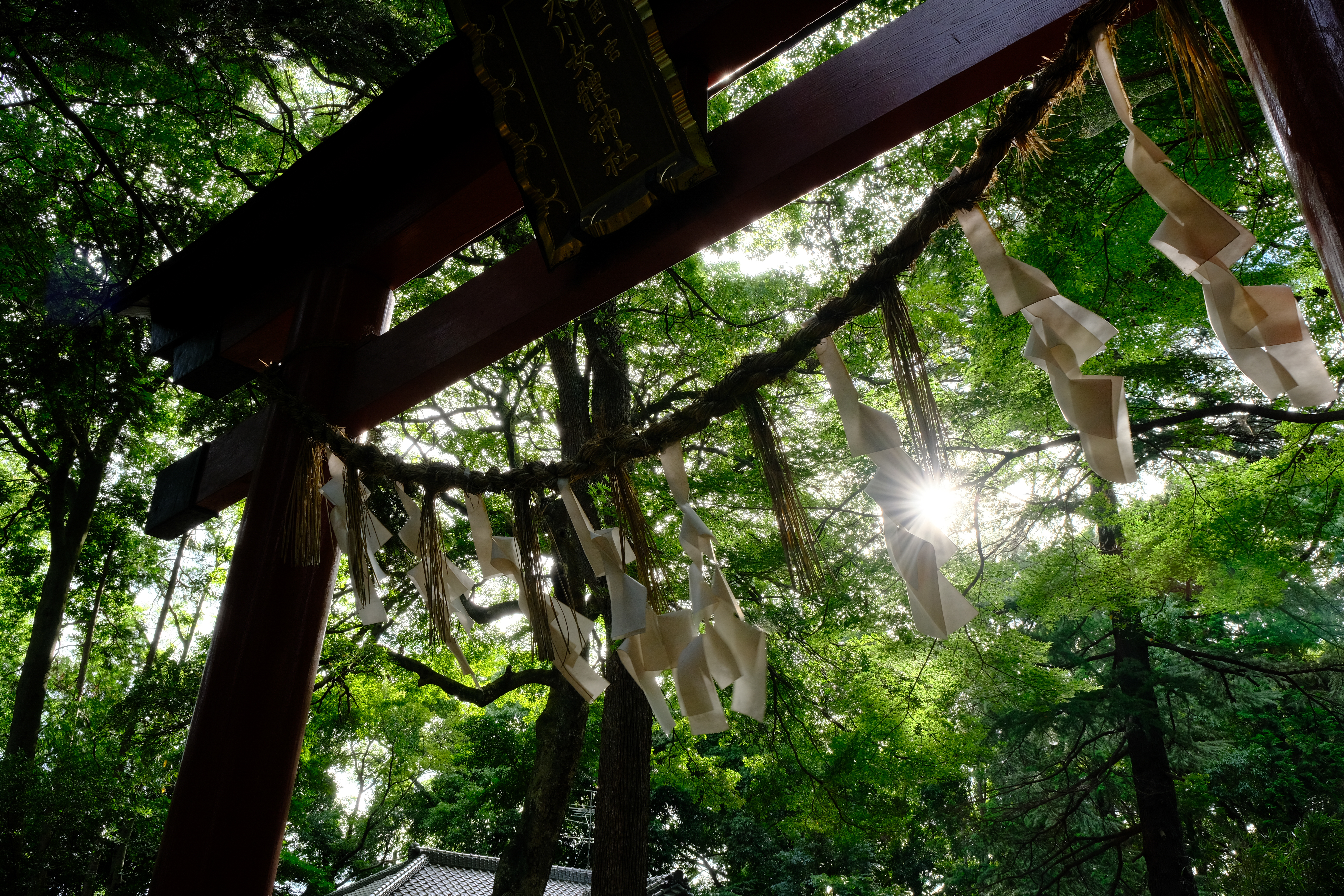 X-T3 / XF16-80mmF4 R OIS WR / 20mm / 絞り優先AE（F11・1/55秒・+0.3EV） / ISO 640