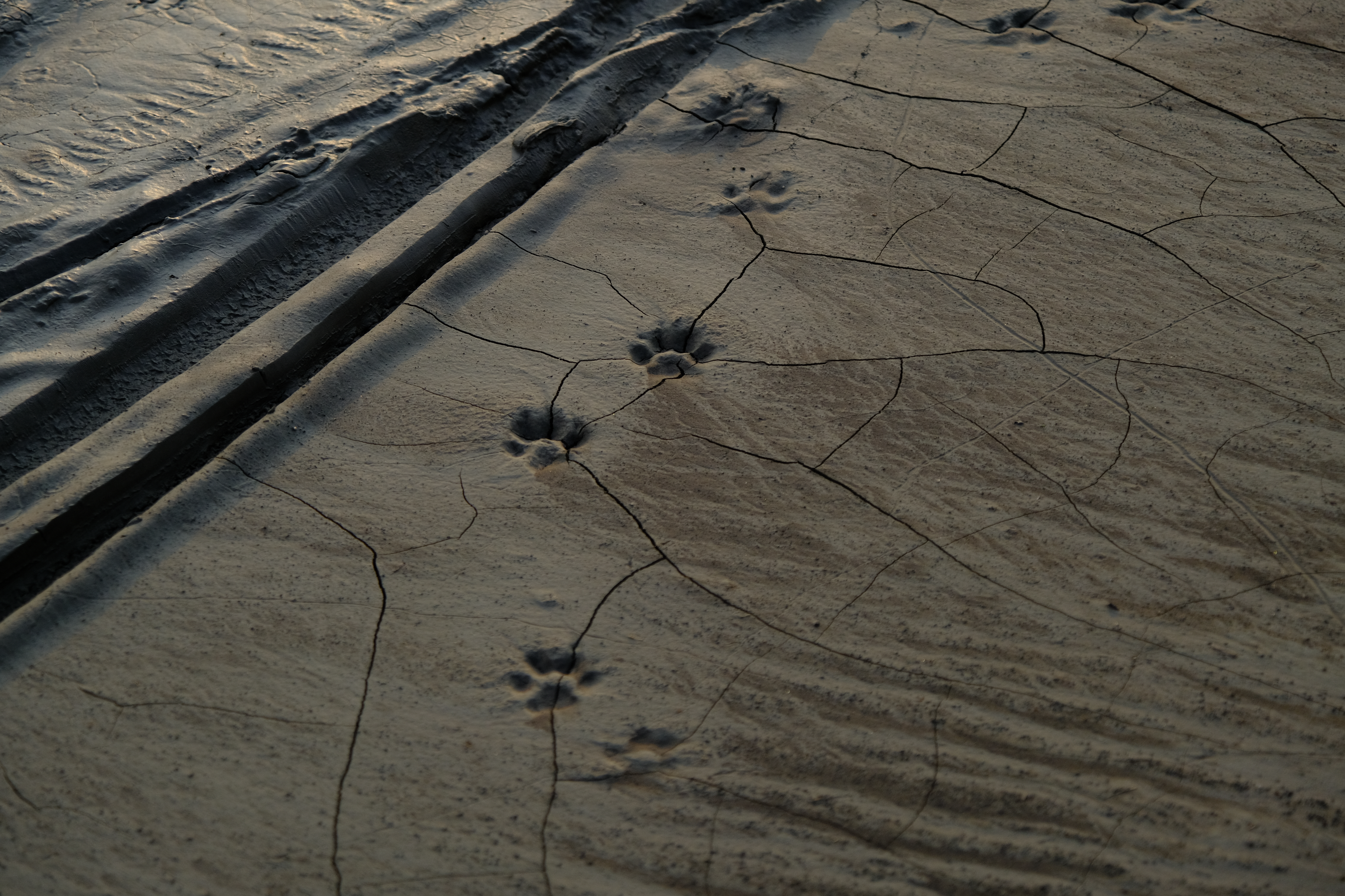 X-T3 / XF16-80mmF4 R OIS WR / 72mm / 絞り優先AE（F4・1/750秒・-1.3EV） / ISO 320