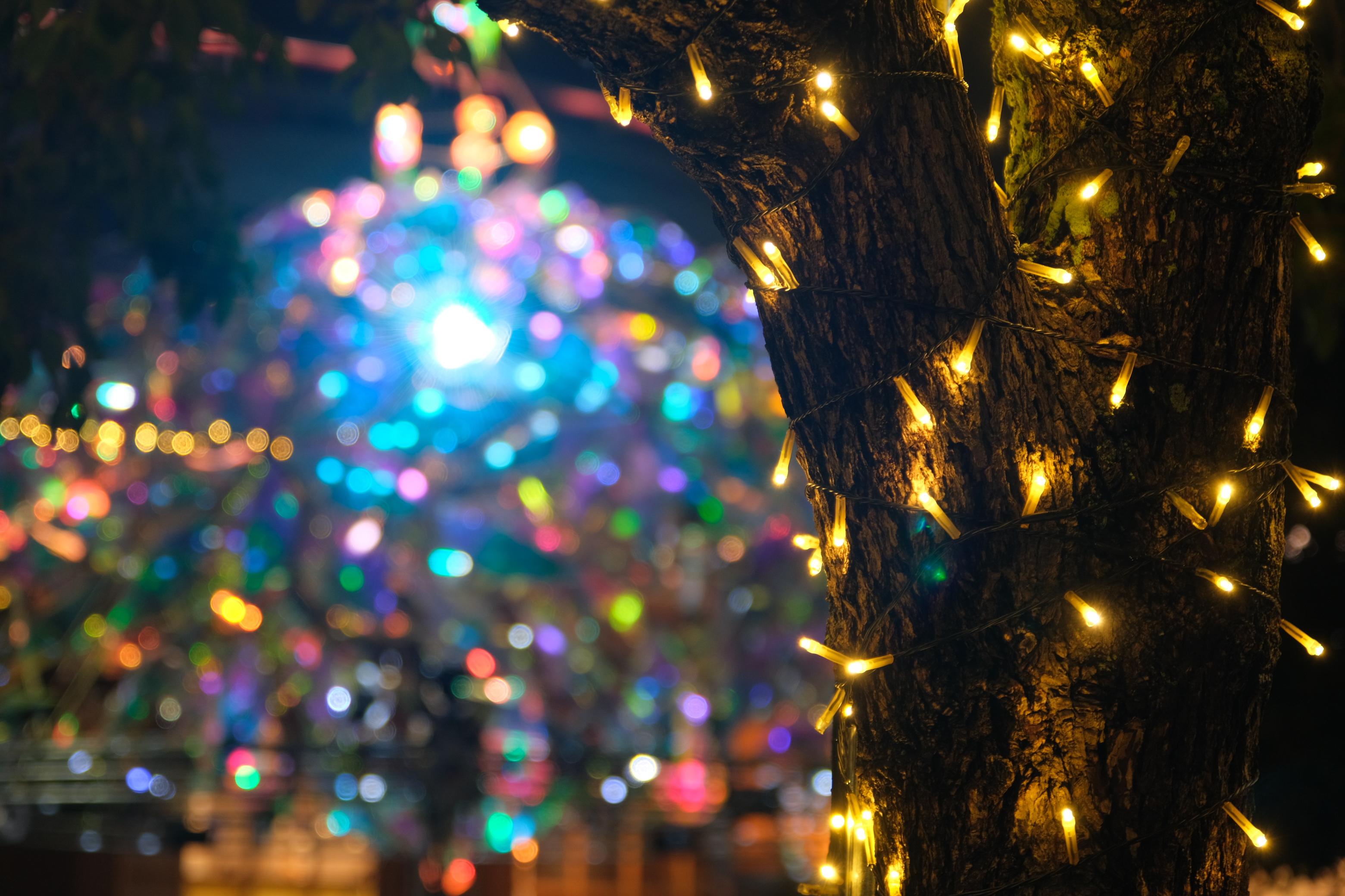 X-T3 / XF16-80mmF4 R OIS WR / 58mm / 絞り優先AE（F4・1/13秒・-0.7EV） / ISO 320