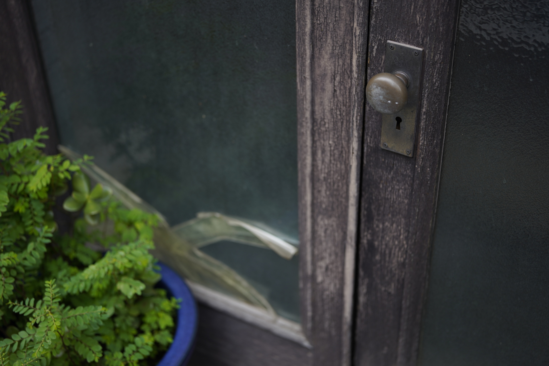 古い民家などが残るエリアで生活の息吹を感じ取る。目に留まったモチーフに素早くアプローチできる軽快さと、絞りリングやピントリングといった操作性の良さもこのレンズの魅力だと思った。わずかな後ピンも気になってしまうほどのシャープさだ。<br>α7R IV　APO-LANTHAR 50mm F2 Aspherical E-mount　ISO 100　F2　1/250秒