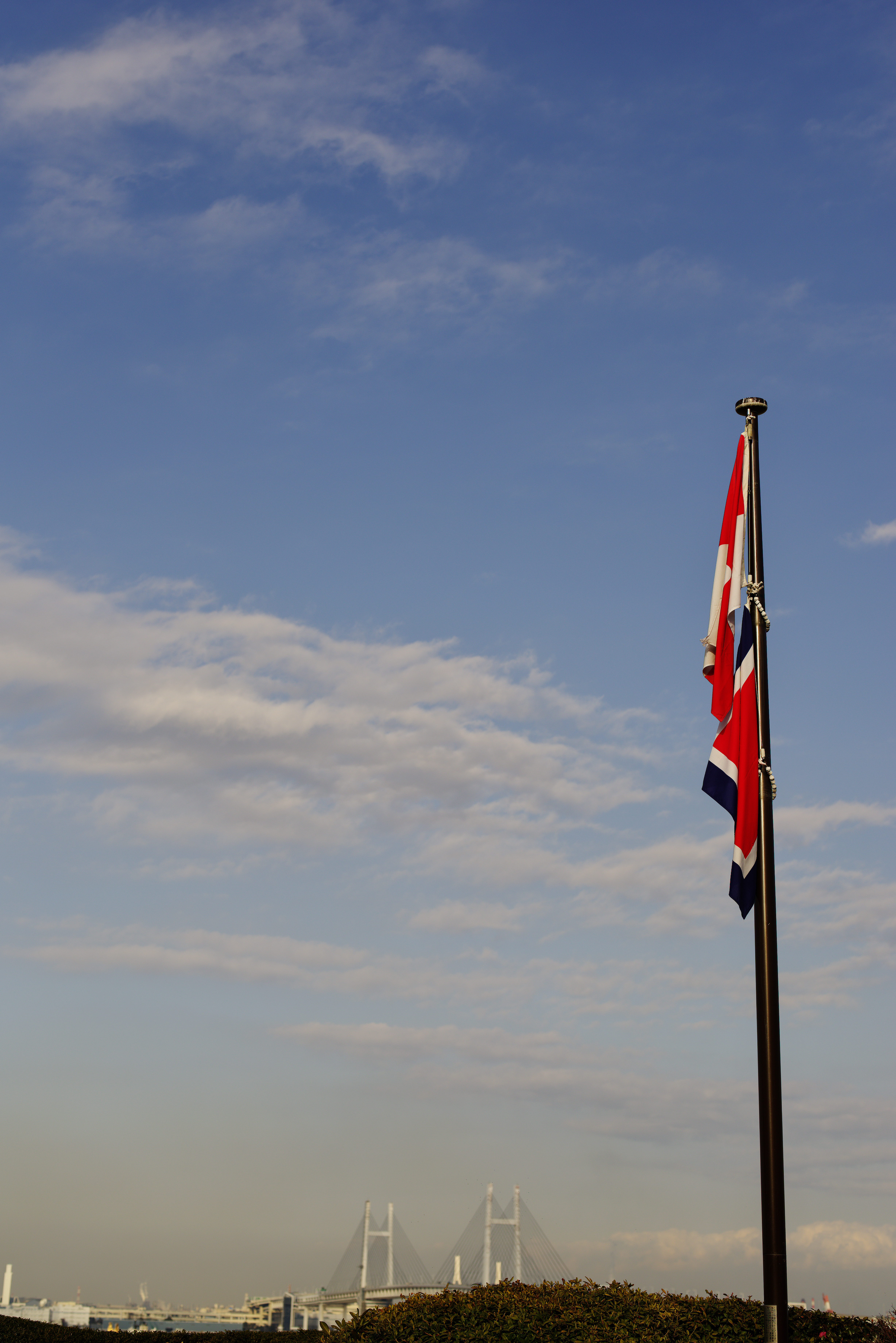 PENTAX K-1 Mark II / HD PENTAX-D FA★ 50mmF1.4 SDM AW / 絞り優先AE（F4.5・1/1,000秒・±0EV） / ISO 100