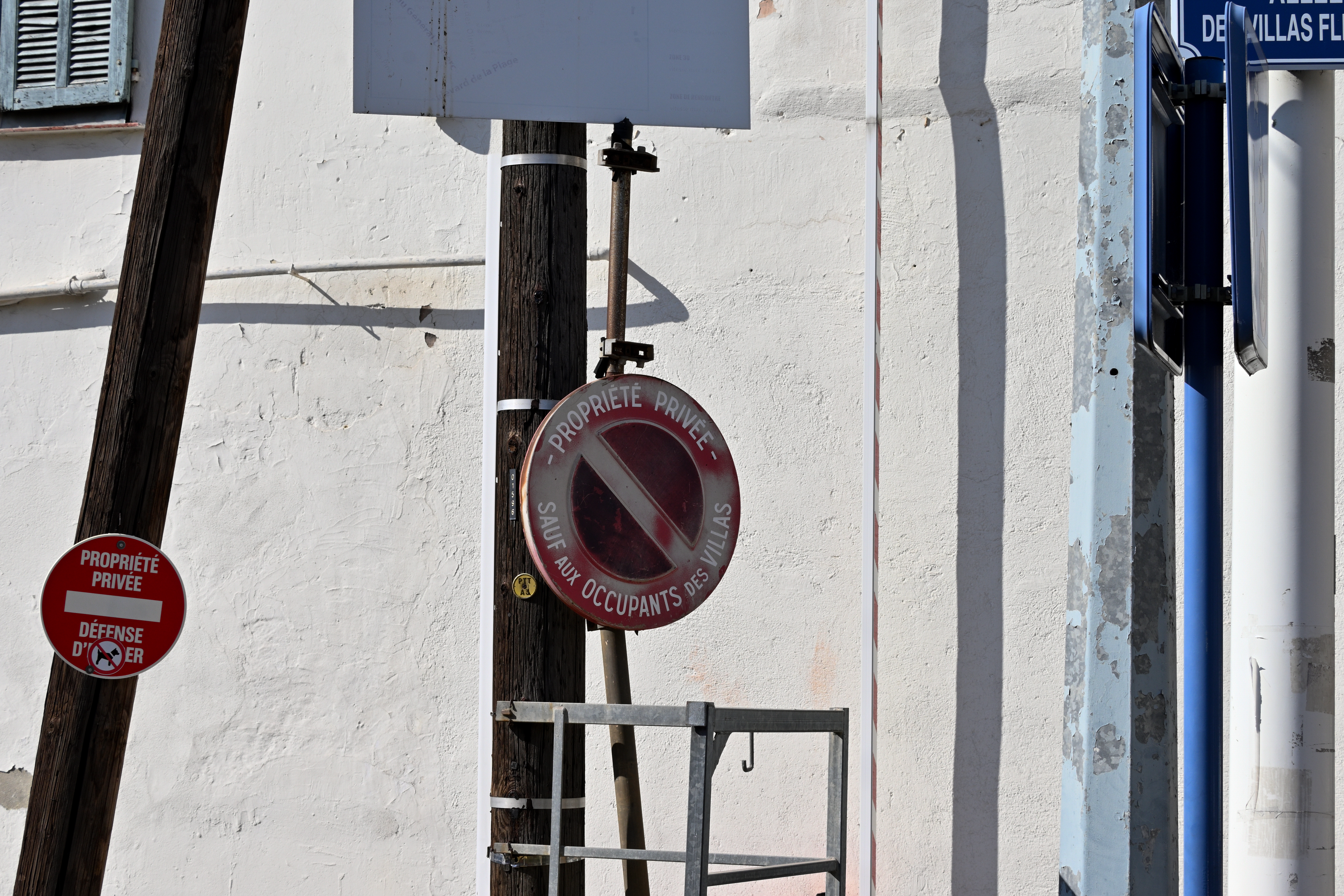 Nikon Z 50 / NIKKOR Z DX 50-250mm f/4.5-6.3 VR / 50mm（75mm相当） / マニュアル露出（1/320秒・F11） / ISO 160