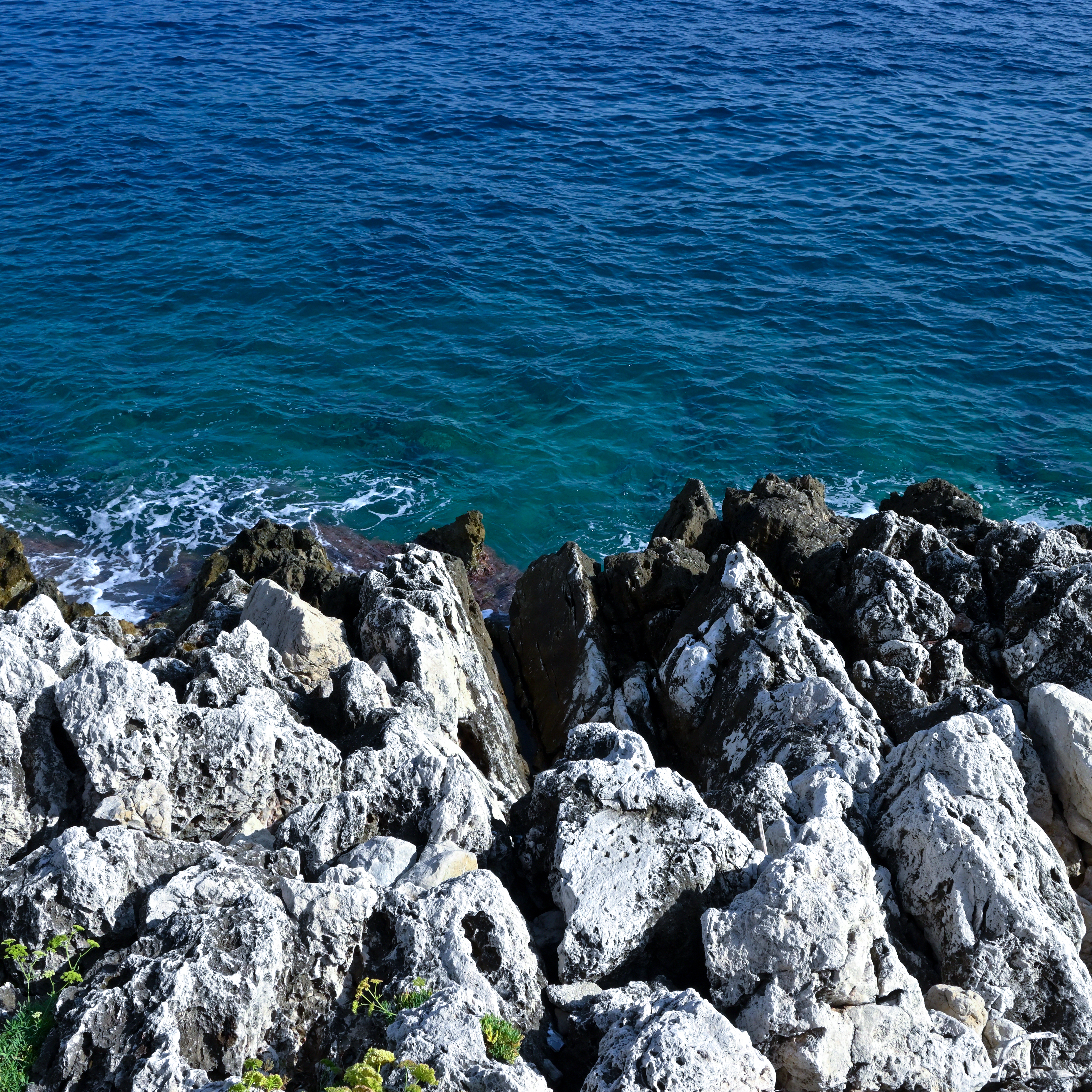 Nikon Z 50 / NIKKOR Z DX 16-50mm f/3.5-6.3 VR / 20.5mm（38mm相当） / マニュアル露出（1/320秒・F11） / ISO 160