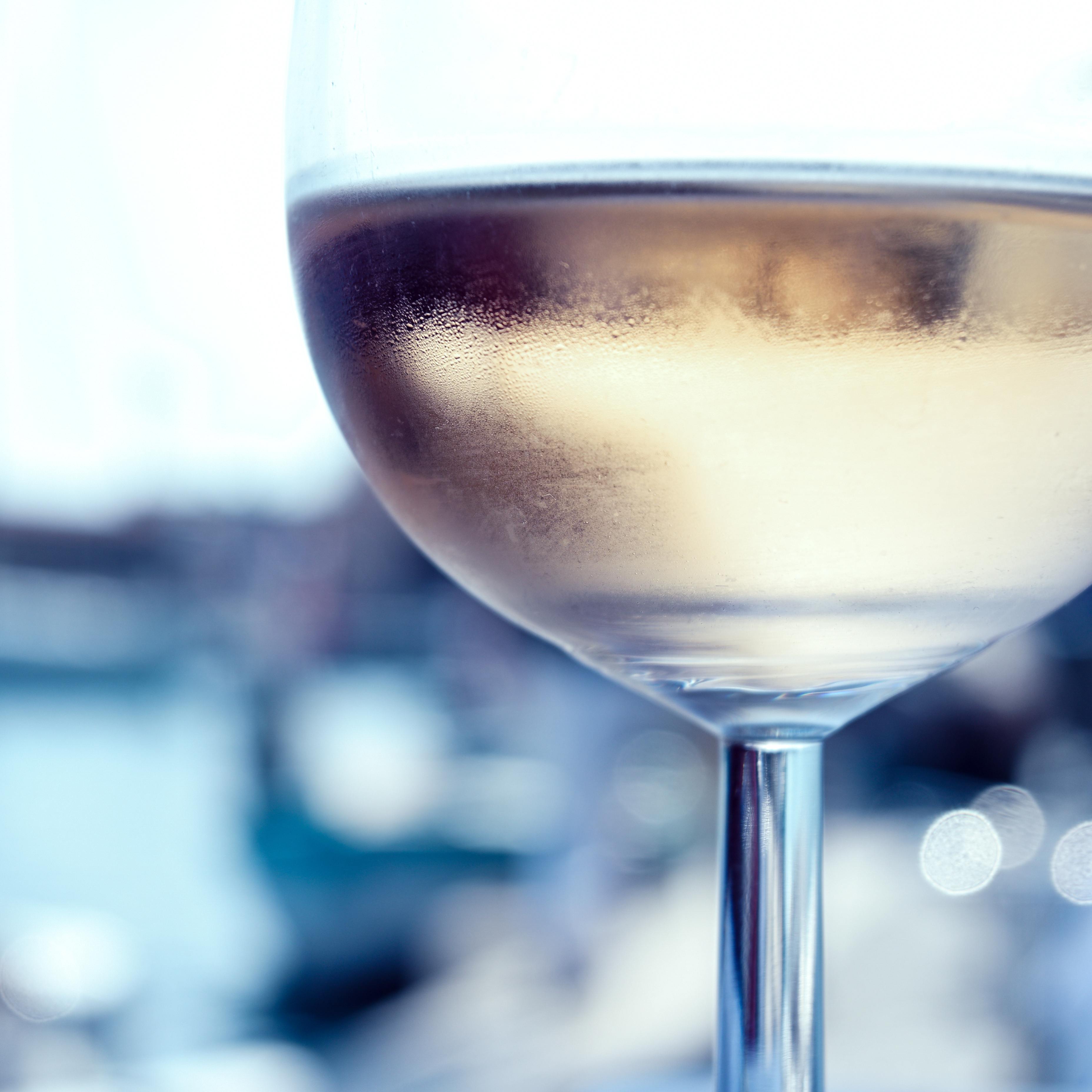 Nikon Z 50 / NIKKOR Z DX 16-50mm f/3.5-6.3 VR / 22.5mm（42mm相当） / マニュアル露出（1/100秒・F6.3） / ISO 125