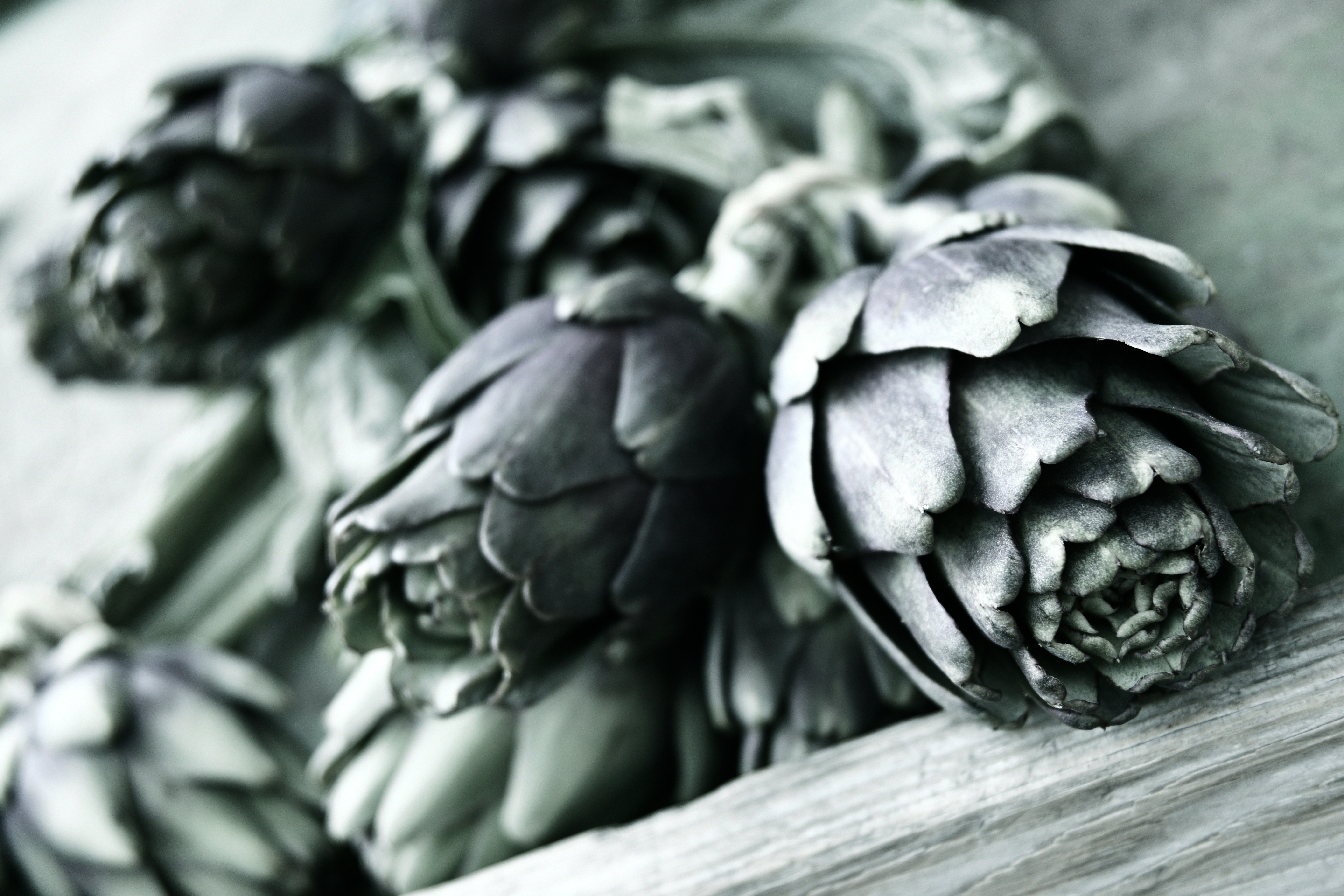 Nikon Z 50 / NIKKOR Z DX 16-50mm f/3.5-6.3 VR / 29mm（43mm相当） / マニュアル露出（1/200秒・F4.8） / ISO 160