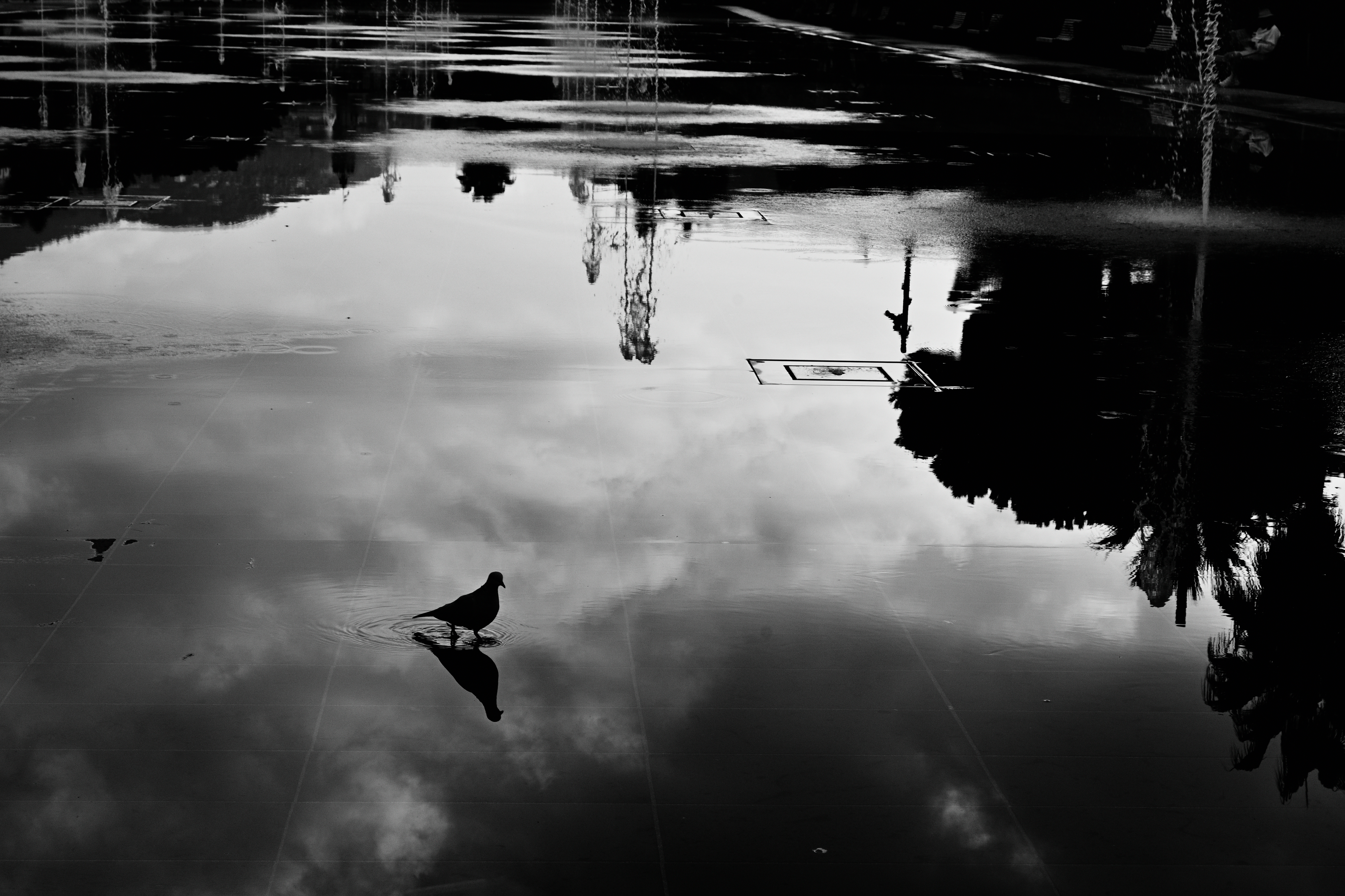 Nikon Z 50 / NIKKOR Z DX 16-50mm f/3.5-6.3 VR / 46mm（69mm相当） / マニュアル露出（1/320秒・F13） / ISO 250