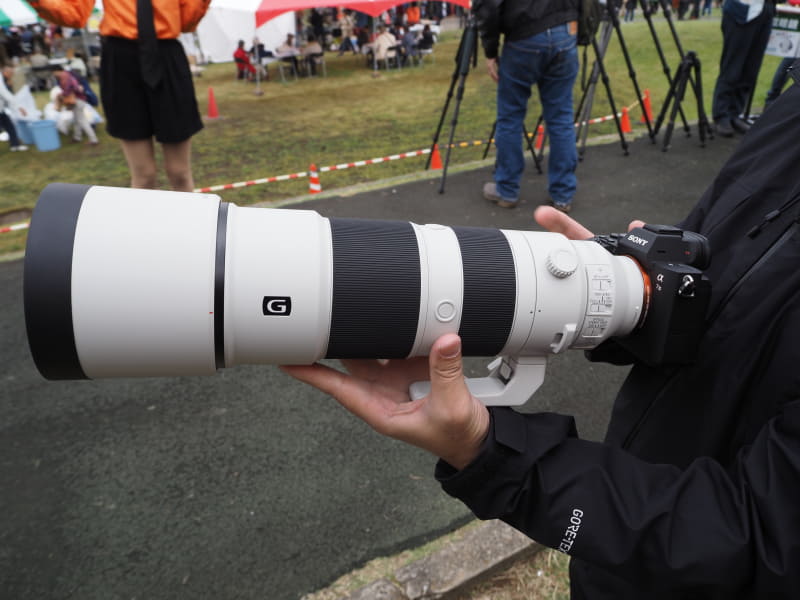 FE 200-600mm F5.6-6.3 G OSS