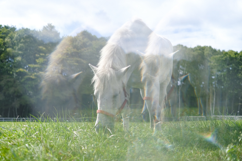 X-T3 / XF35mmF1.4 R / 絞り優先AE（1/5,800秒・F1.4・+1.0EV） / ISO 200