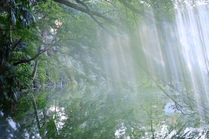 X-T3 / XF35mmF1.4 R / 絞り優先AE（1/60秒・F1.4・+1.0EV） / ISO 400