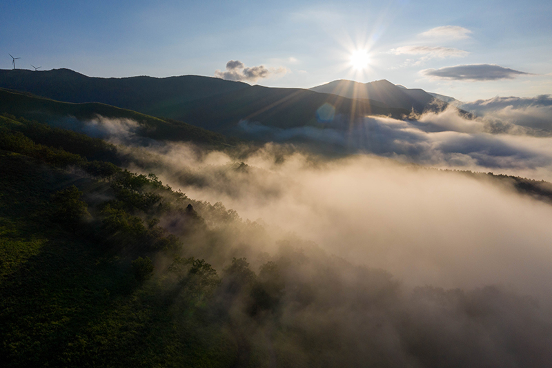 新エリアとなる小萩山