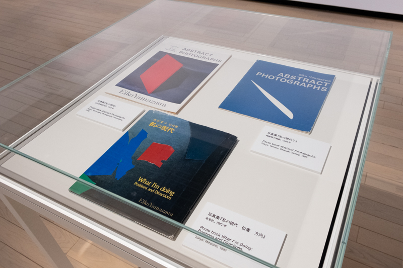 映像中で登場する写真集の一部