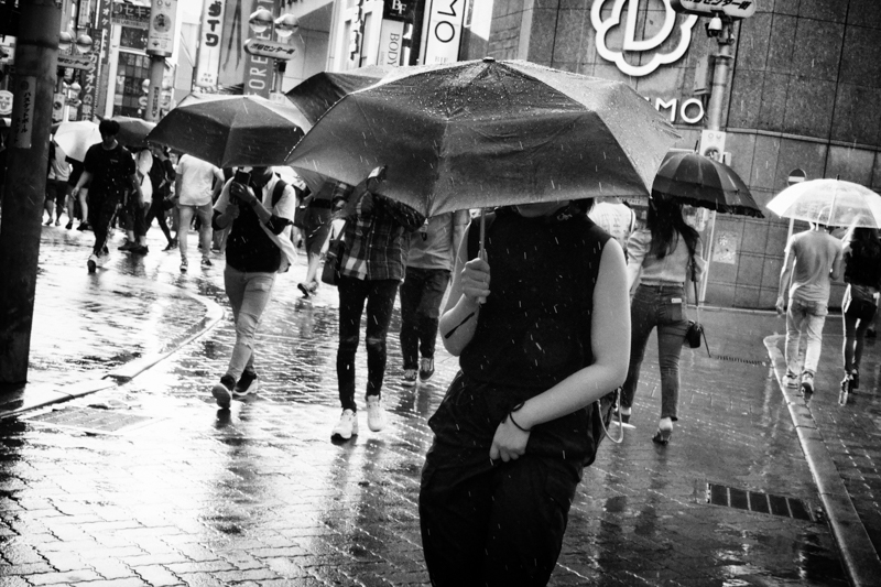 α6600 / E 16-55mm F2.8 G / 34mm（51mm相当） / マニュアル露出（1/500秒・F16） / ISO 5000