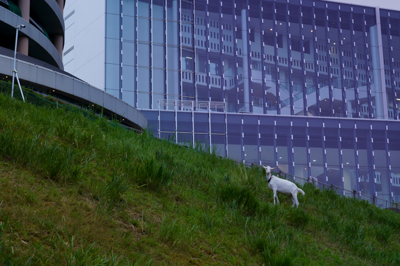 α6600 / E 16-55mm F2.8 G / 55mm（82mm相当） / マニュアル露出（1/200秒・F8.0） / ISO 640