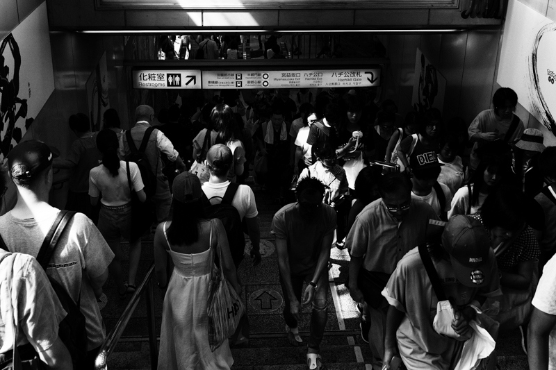 α6600 / E 16-55mm F2.8 G / 36mm（54mm相当） / マニュアル露出（1/400秒・F4.0） / ISO 500