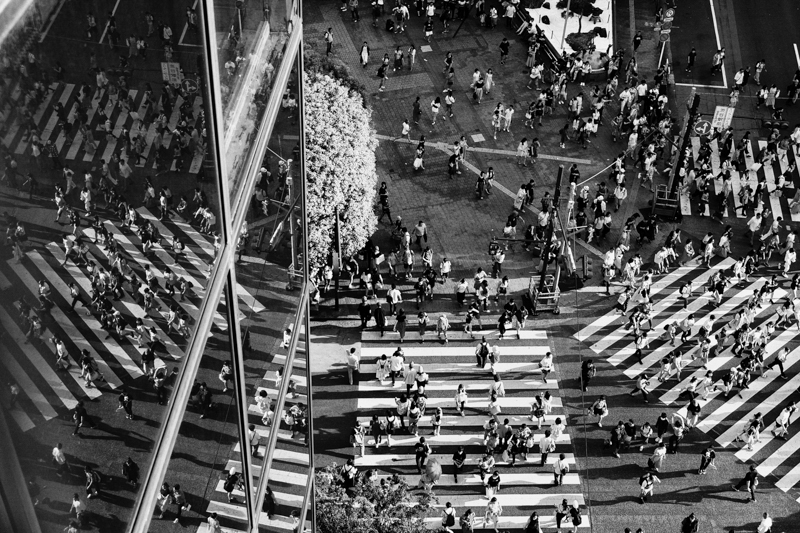 α6600 / E 16-55mm F2.8 G / 16mm（24mm相当） / マニュアル露出（1/250秒・F2.8） / ISO 100