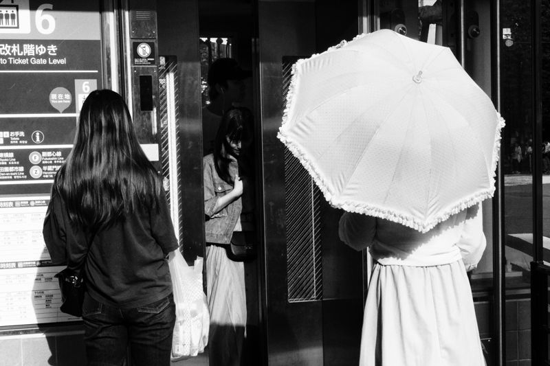 α6600 / E 16-55mm F2.8 G / 35mm（52mm相当） / マニュアル露出（1/500秒・F16） / ISO 800