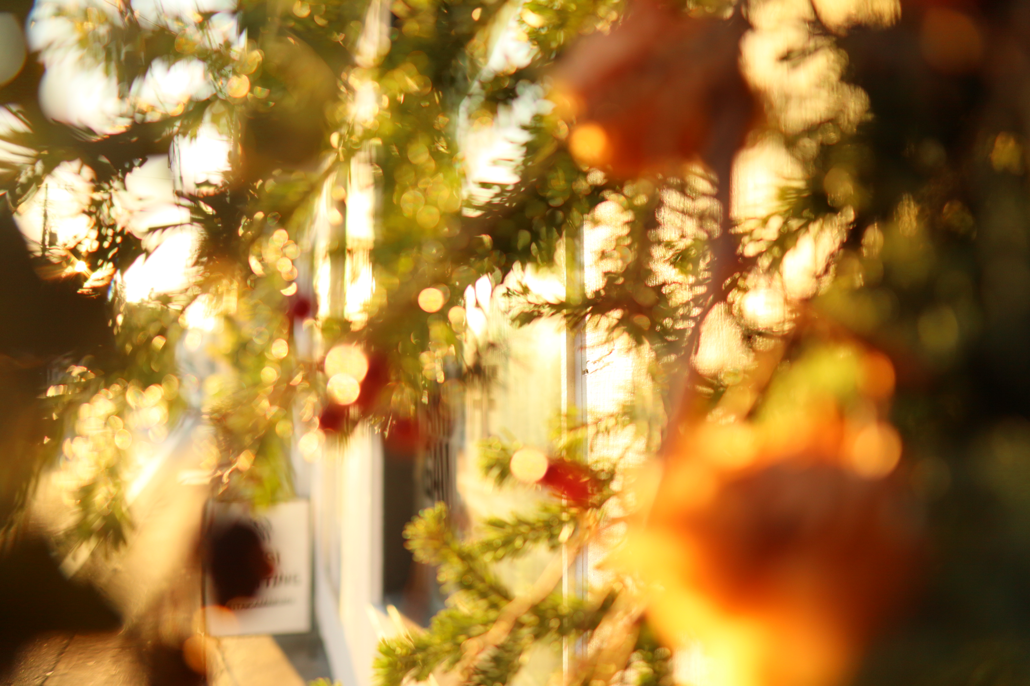 EOS Kiss M / SIGMA 16mm F1.4 DC DN | Contemporary / 25.6mm相当 / マニュアル露出（1/800秒・F1.4） / ISO 200