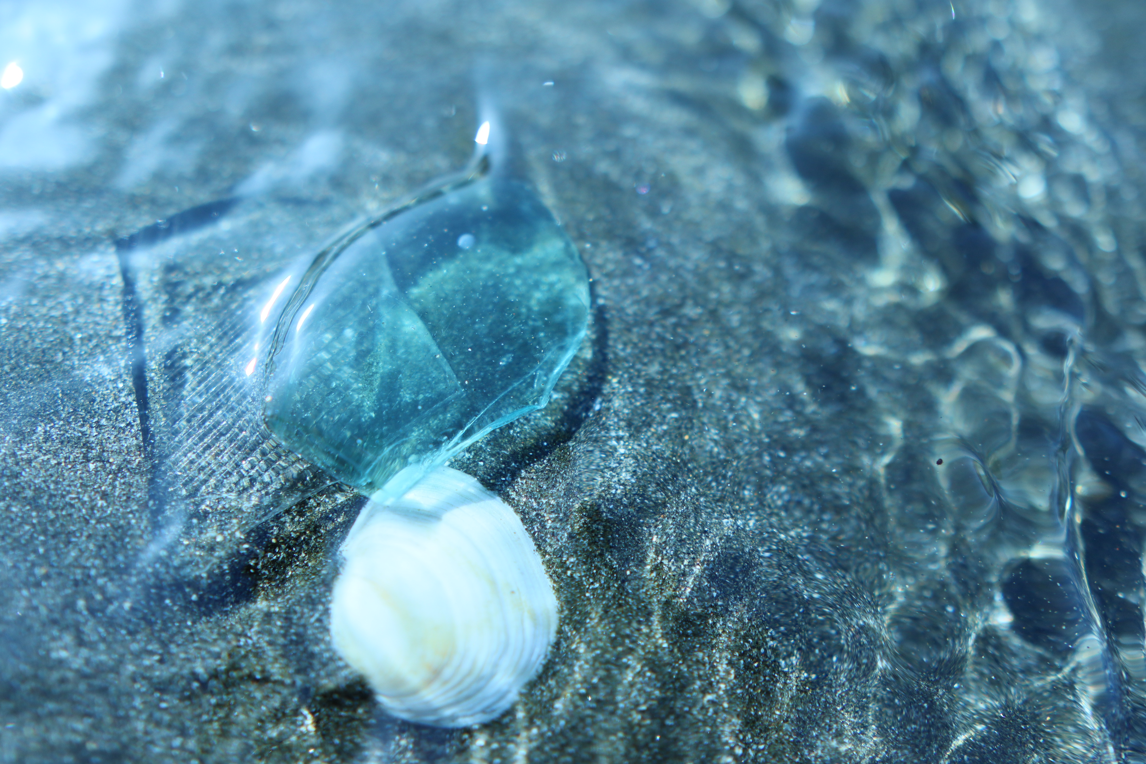 <br><span class="fnt-85">EOS Kiss M / SIGMA 16mm F1.4 DC DN</span>